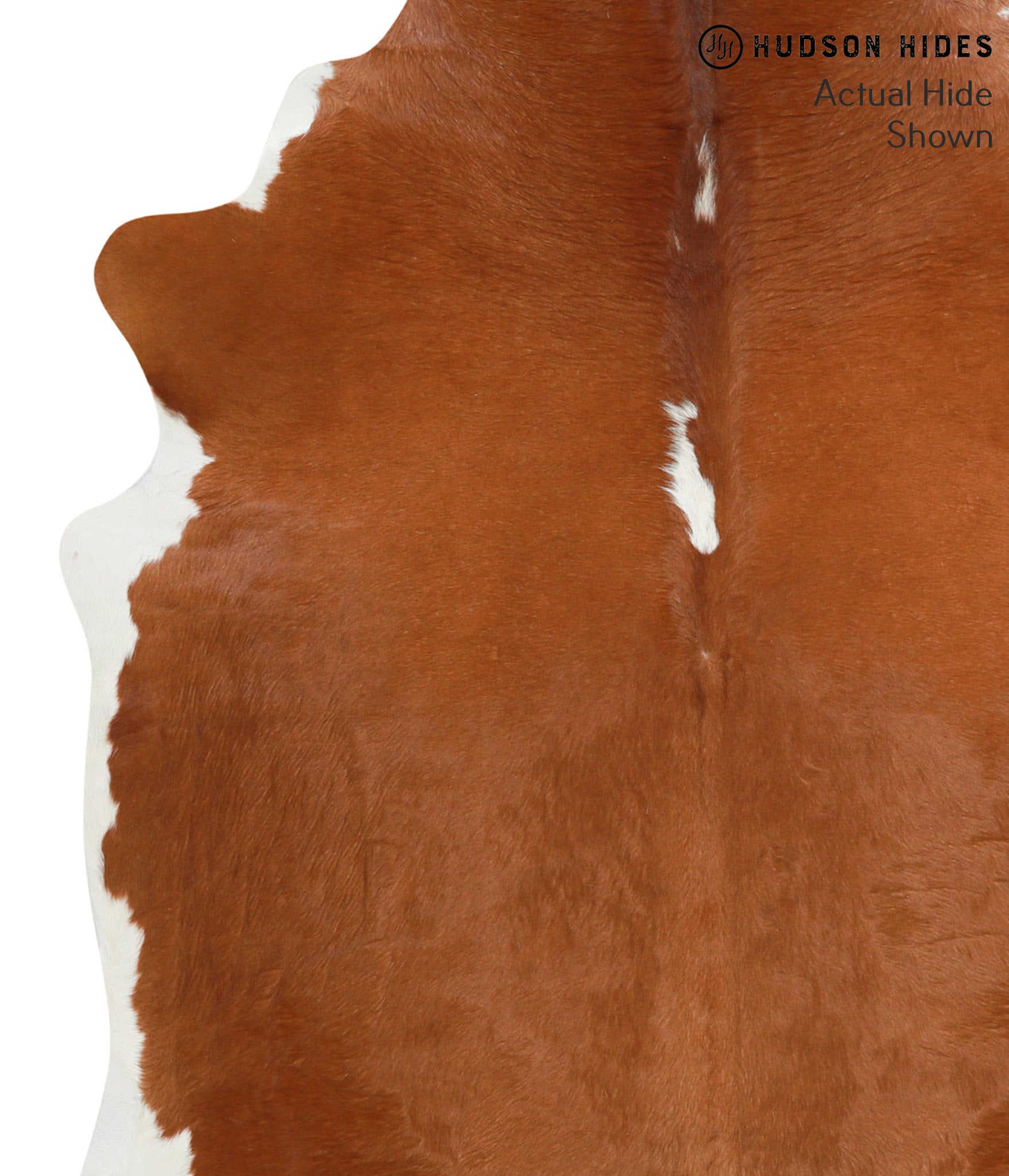 Brown and White Regular Cowhide Rug #41174