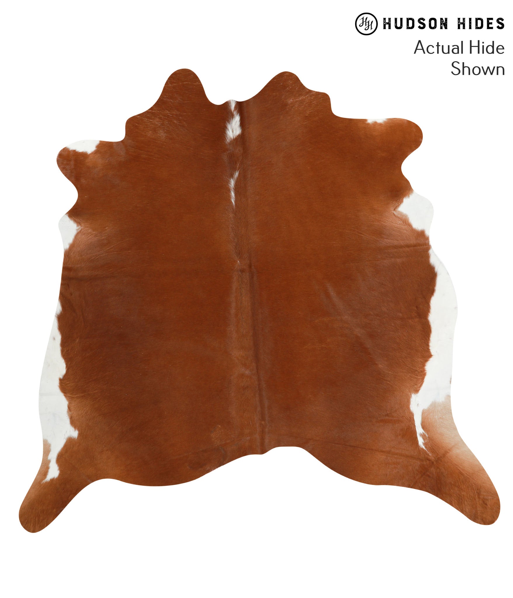 Brown and White Regular Cowhide Rug #41241