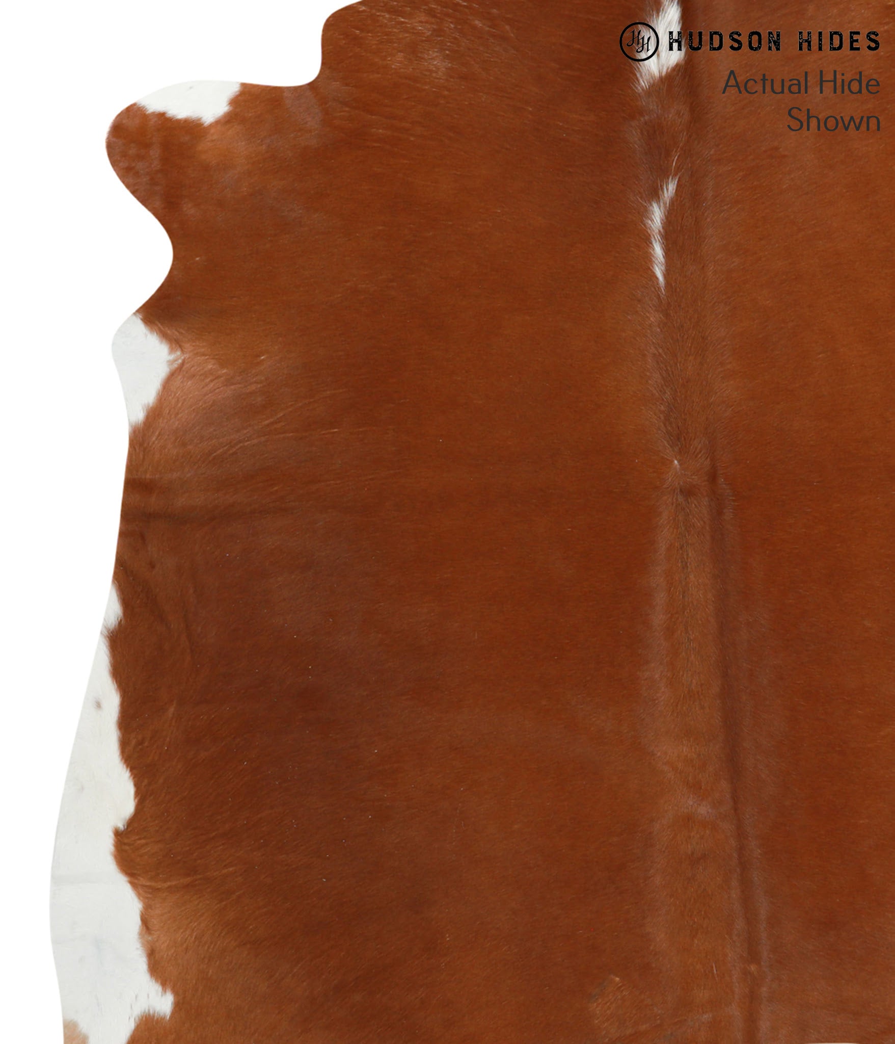 Brown and White Regular Cowhide Rug #41241