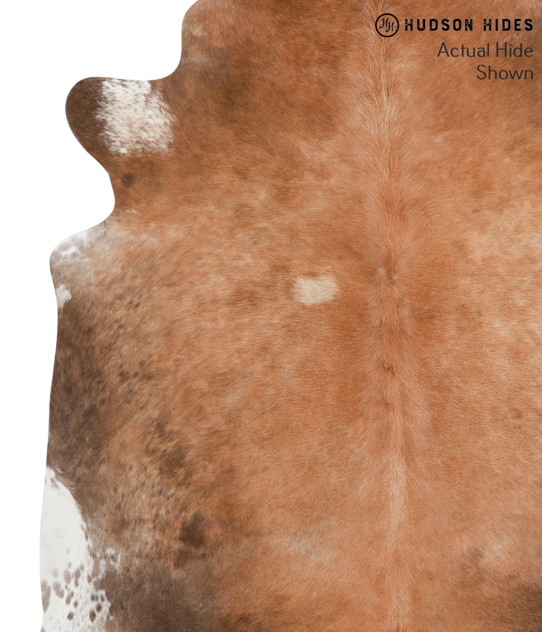 Brown with Red Cowhide Rug #41272