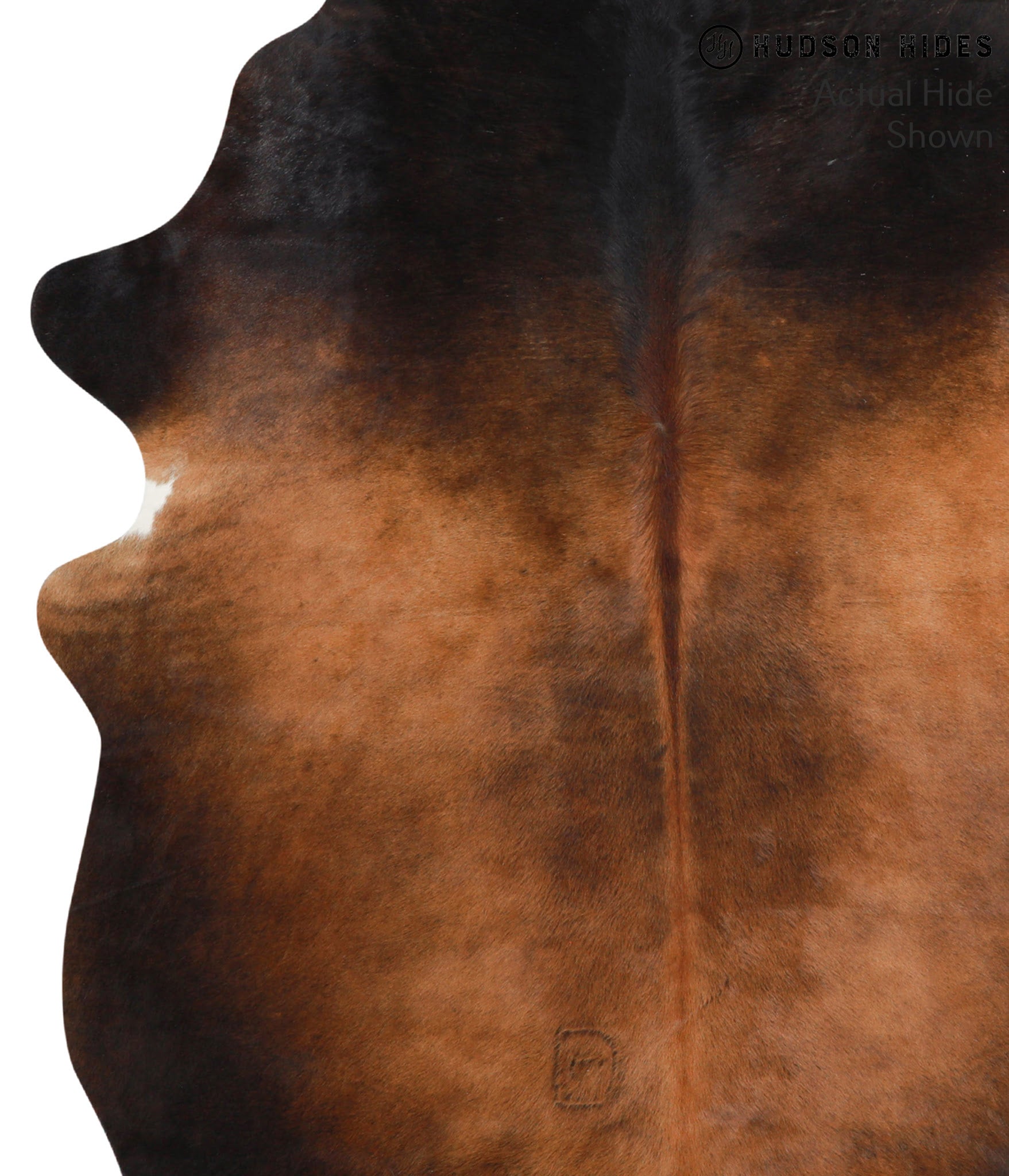 Brown with Red Cowhide Rug #41275