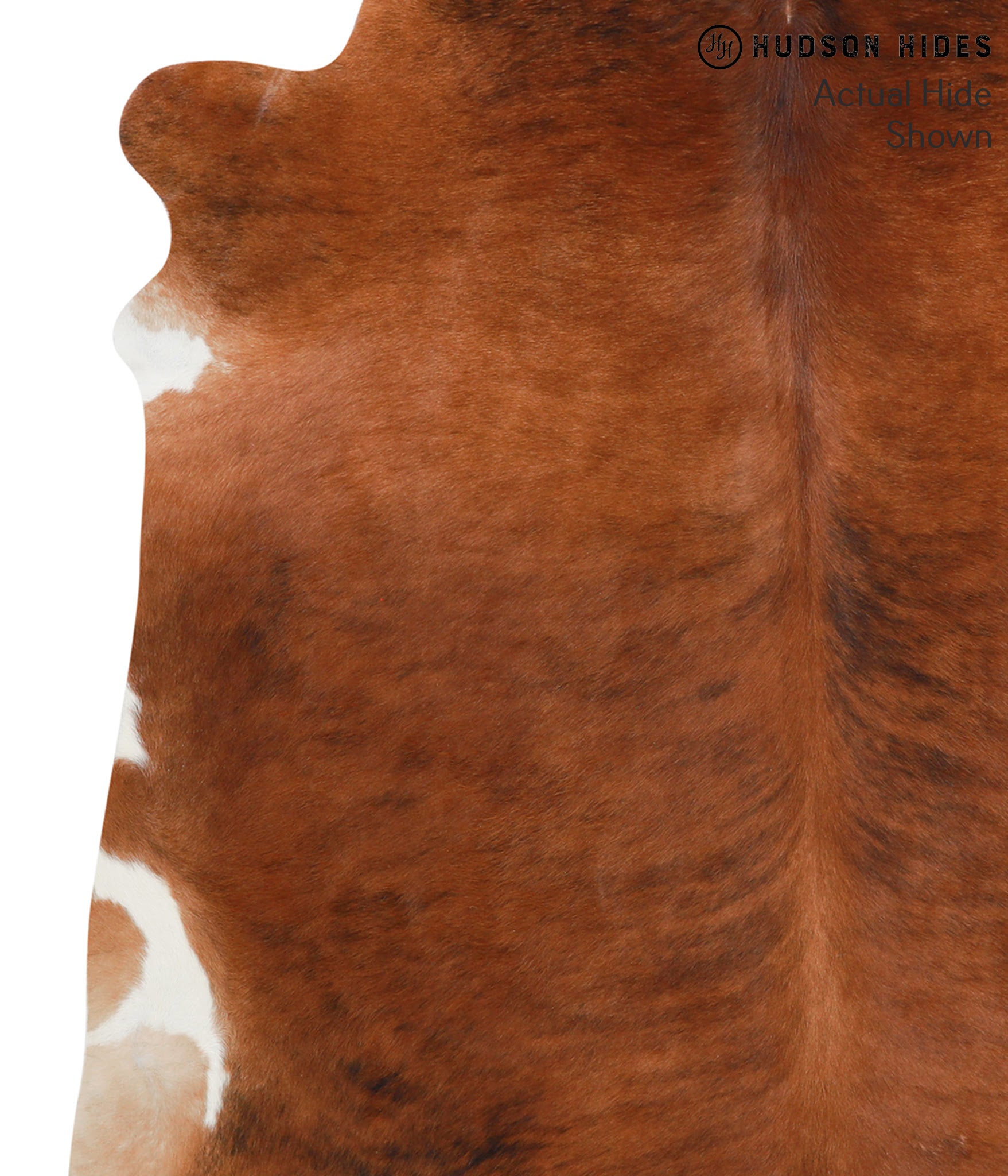 Medium Brindle Cowhide Rug #41278