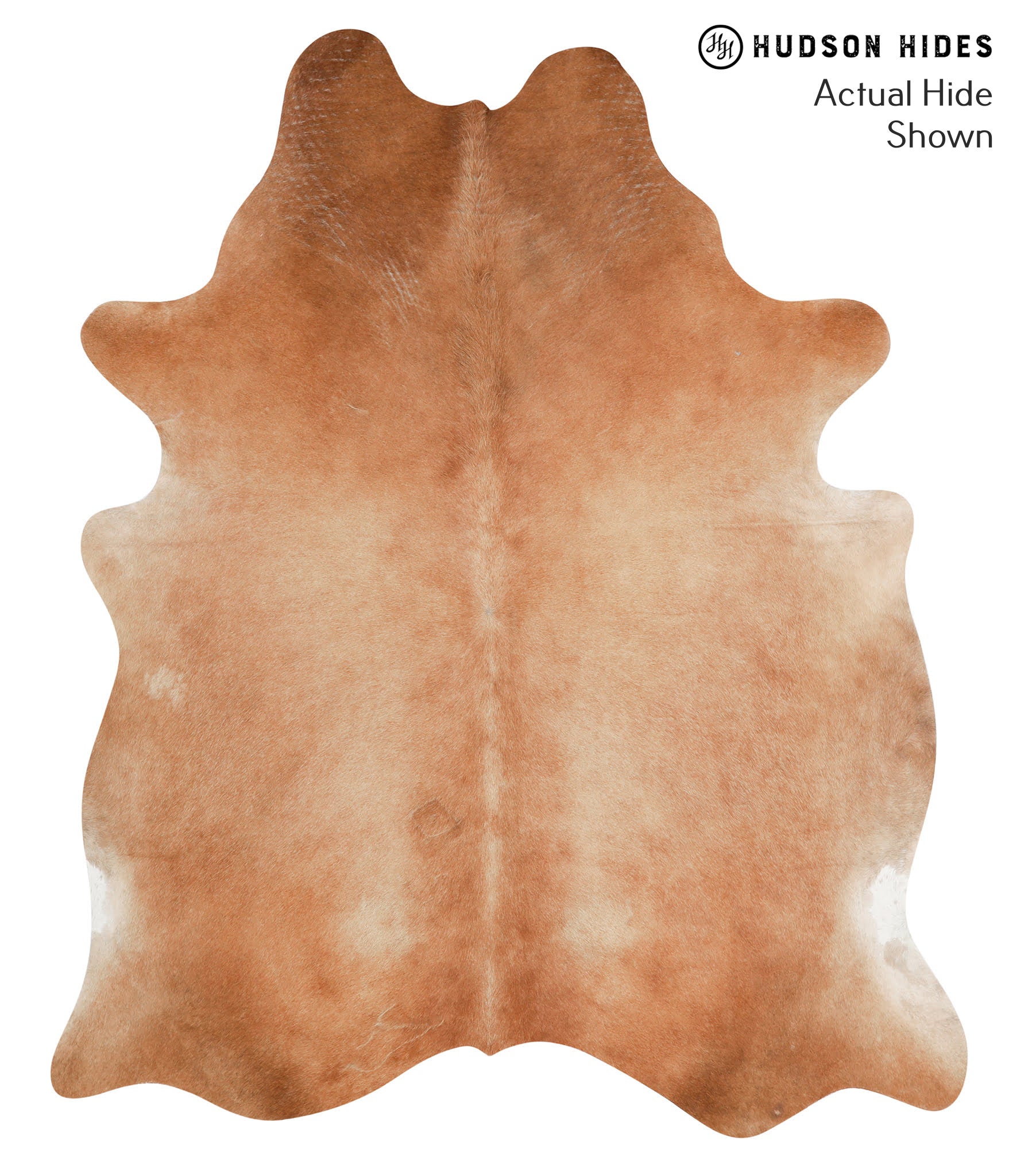 Solid Brown Cowhide Rug #41280