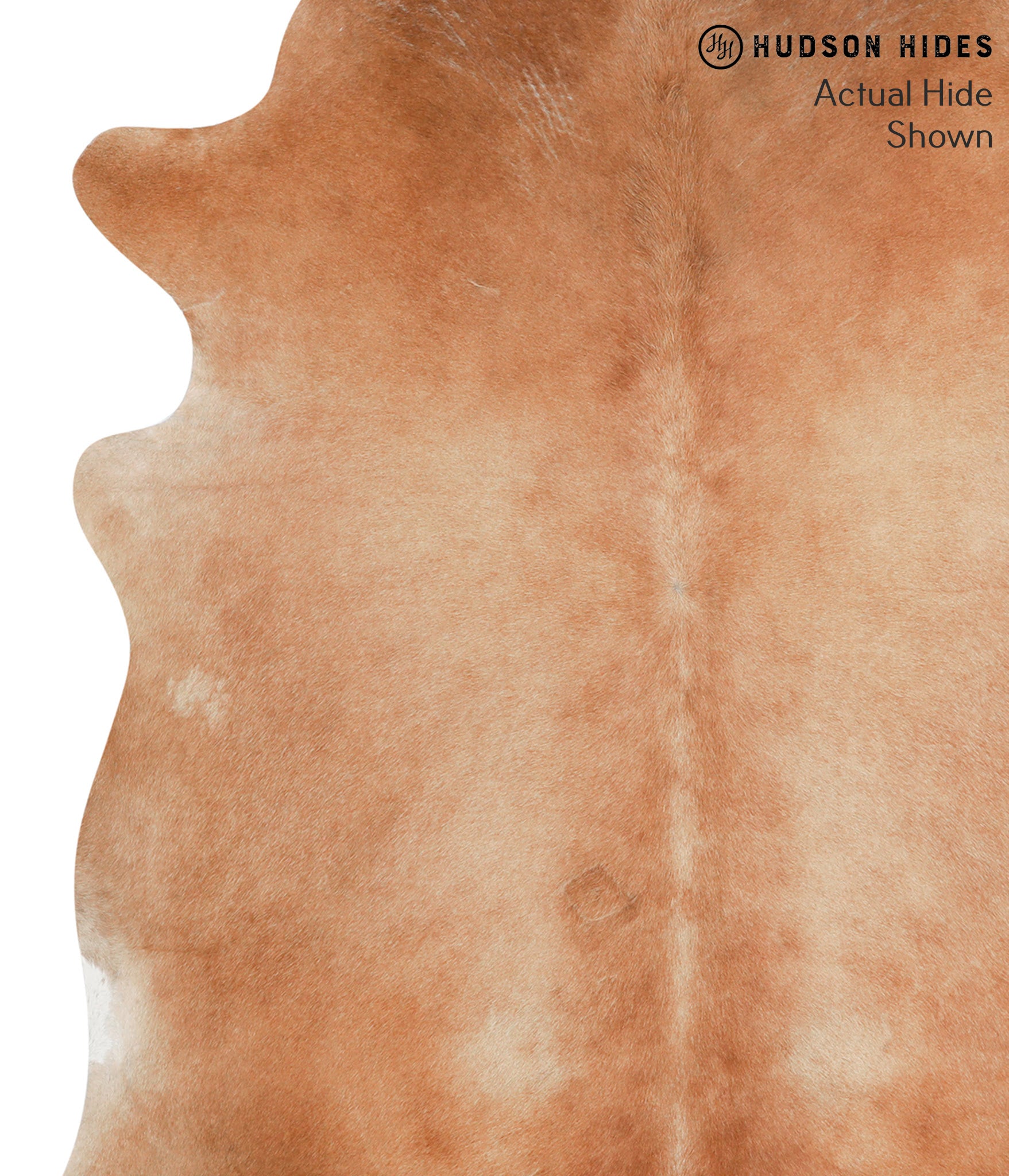 Solid Brown Cowhide Rug #41280