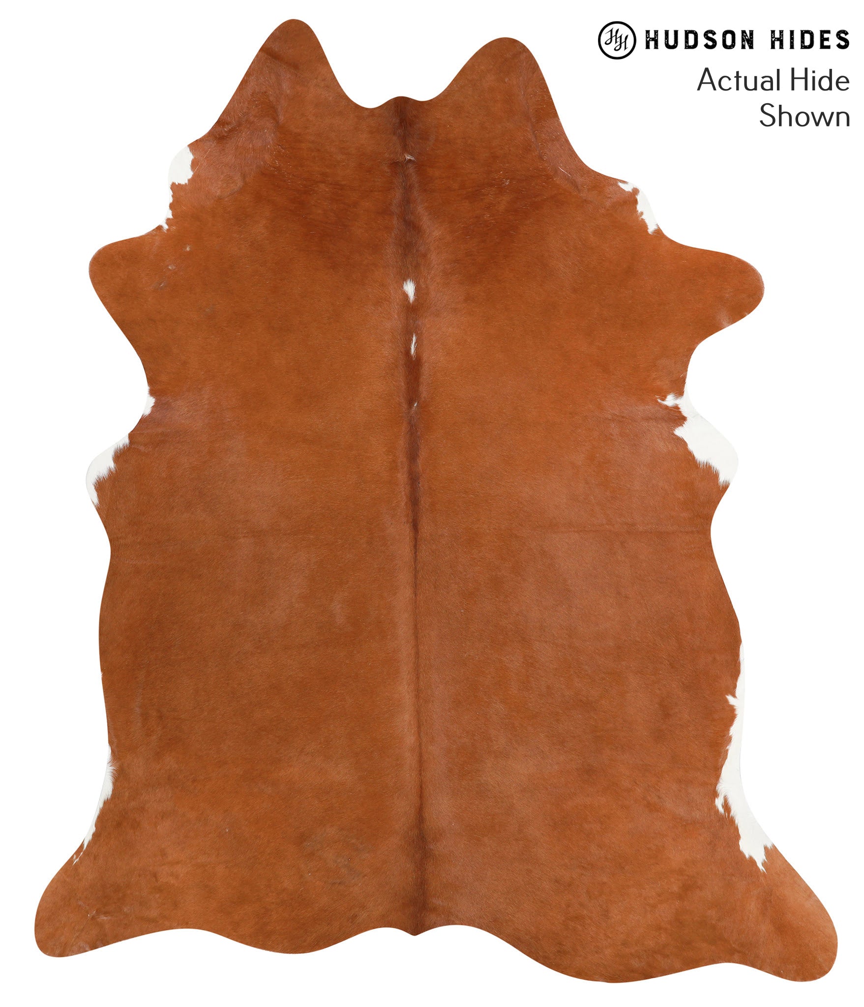 Solid Brown Cowhide Rug #41282