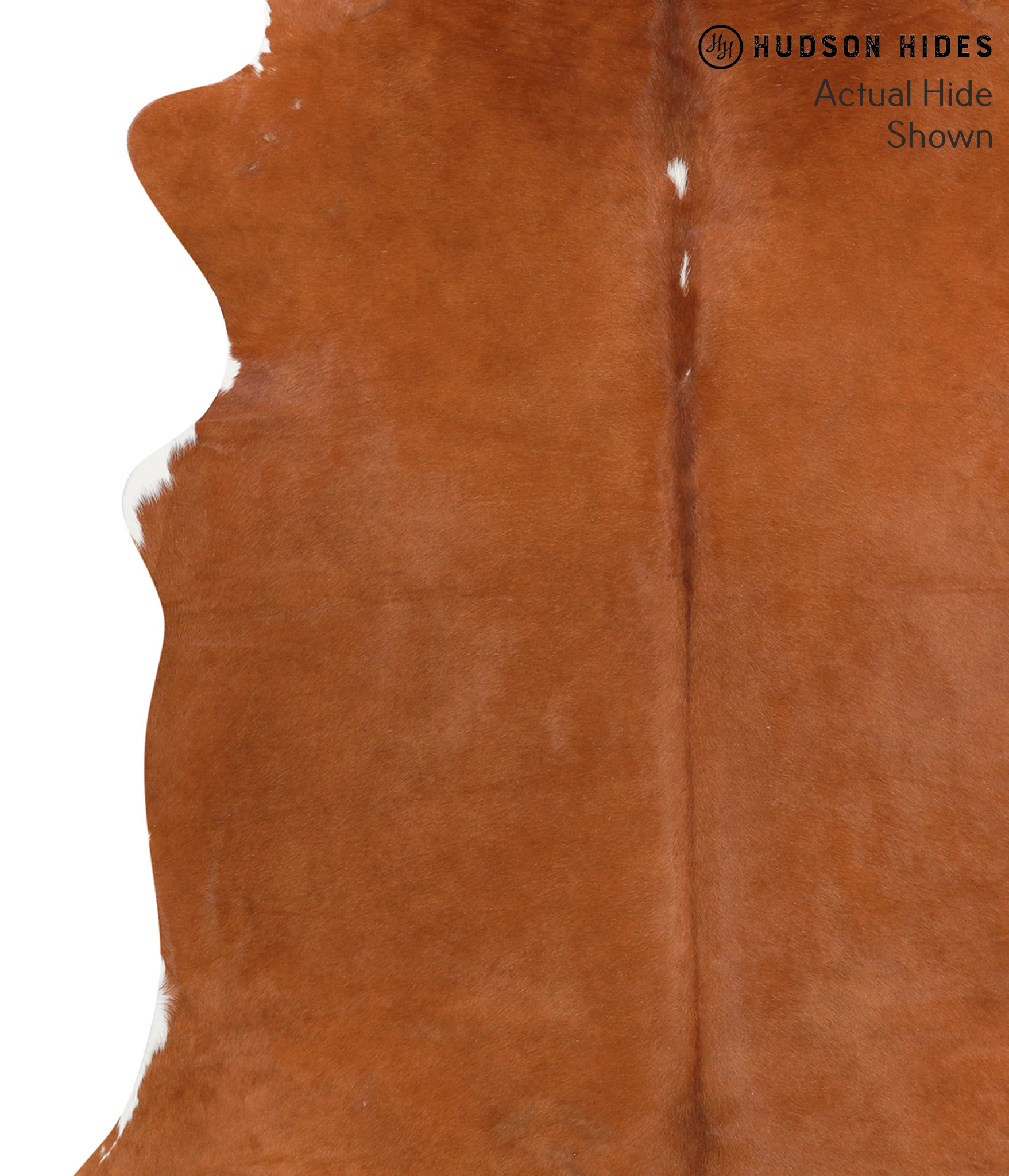 Solid Brown Cowhide Rug #41282