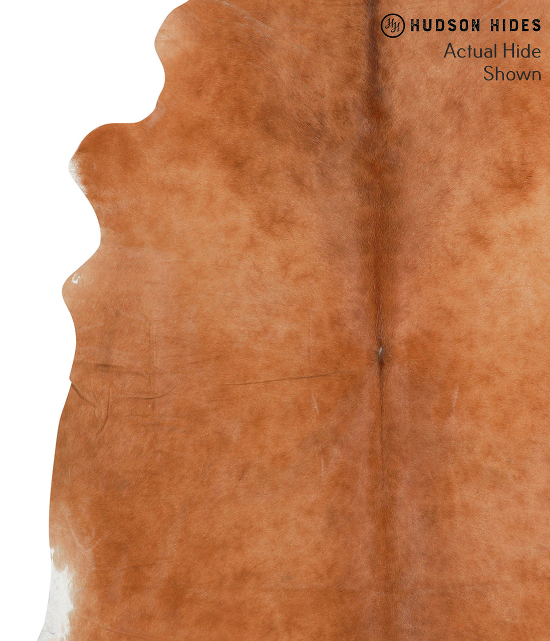 Solid Brown X-Large Brazilian Cowhide Rug 7'8"H x 6'4"W #41337 by Huds
