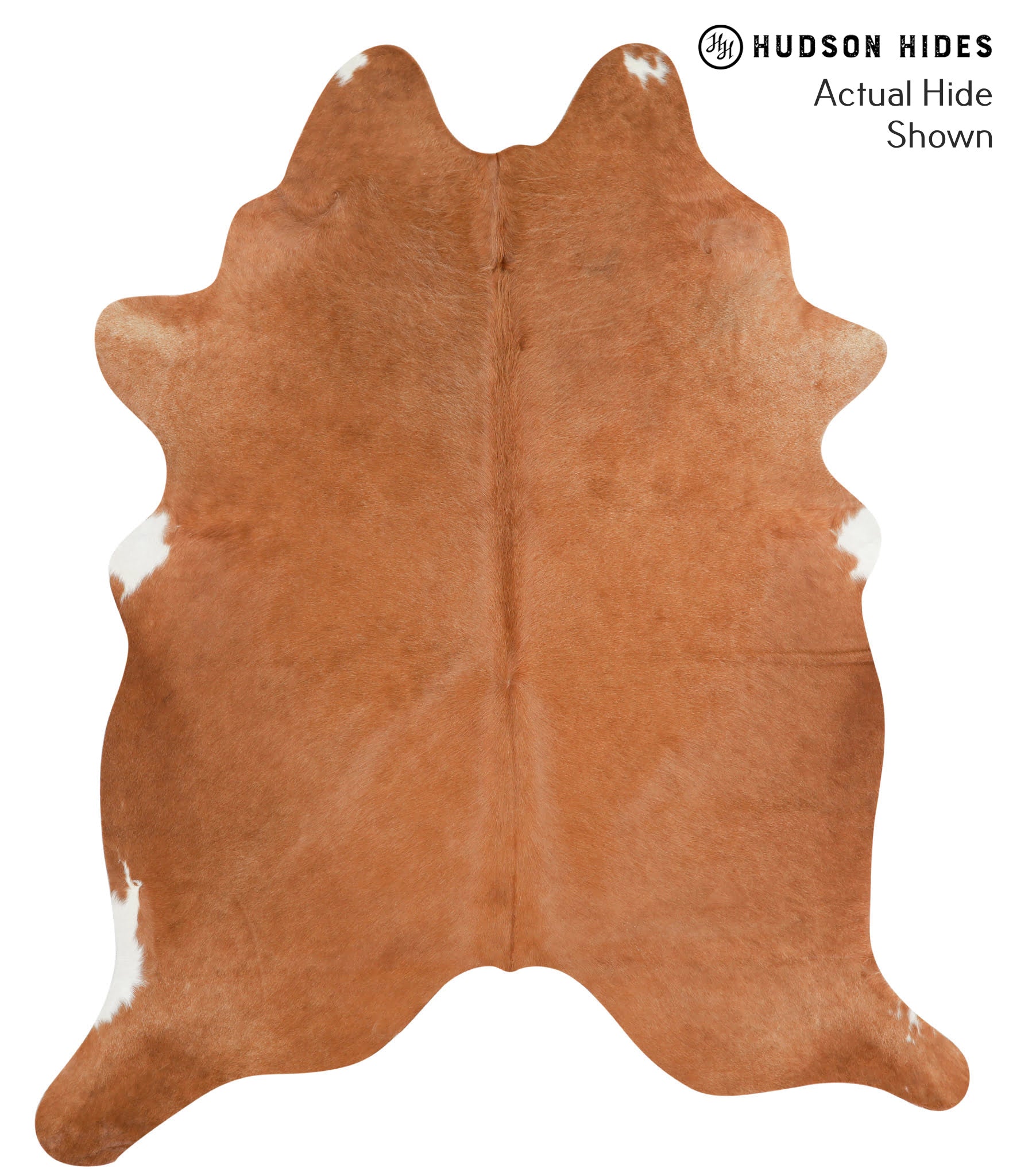 Solid Brown Cowhide Rug #41365