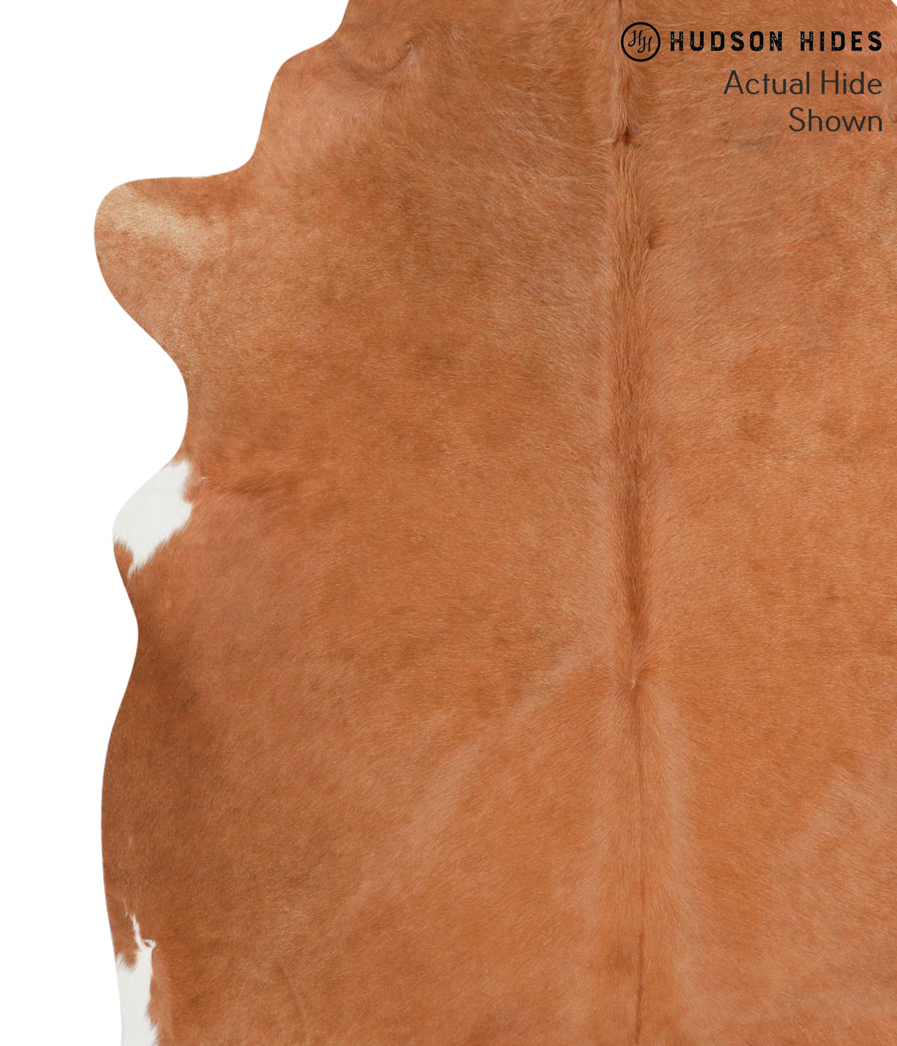 Solid Brown Cowhide Rug #41365