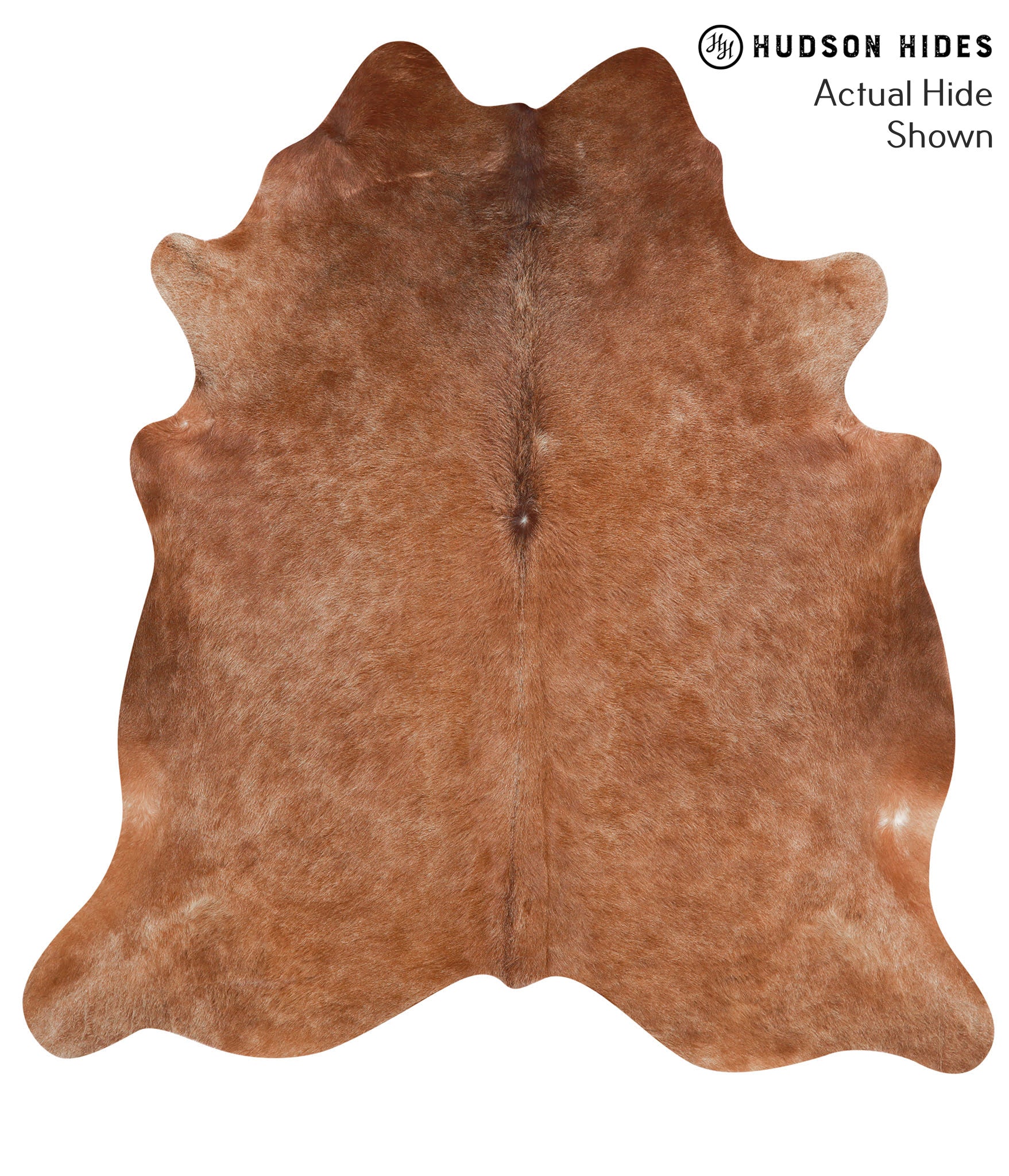 Solid Brown Cowhide Rug #41389