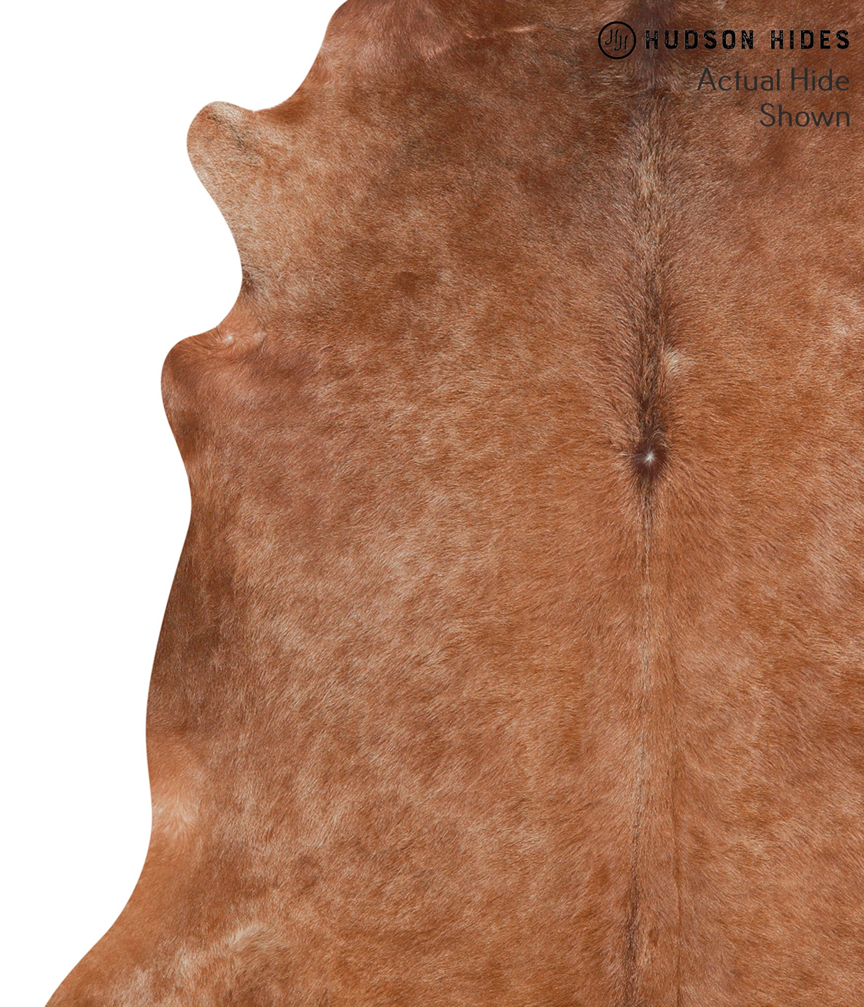Solid Brown Cowhide Rug #41389