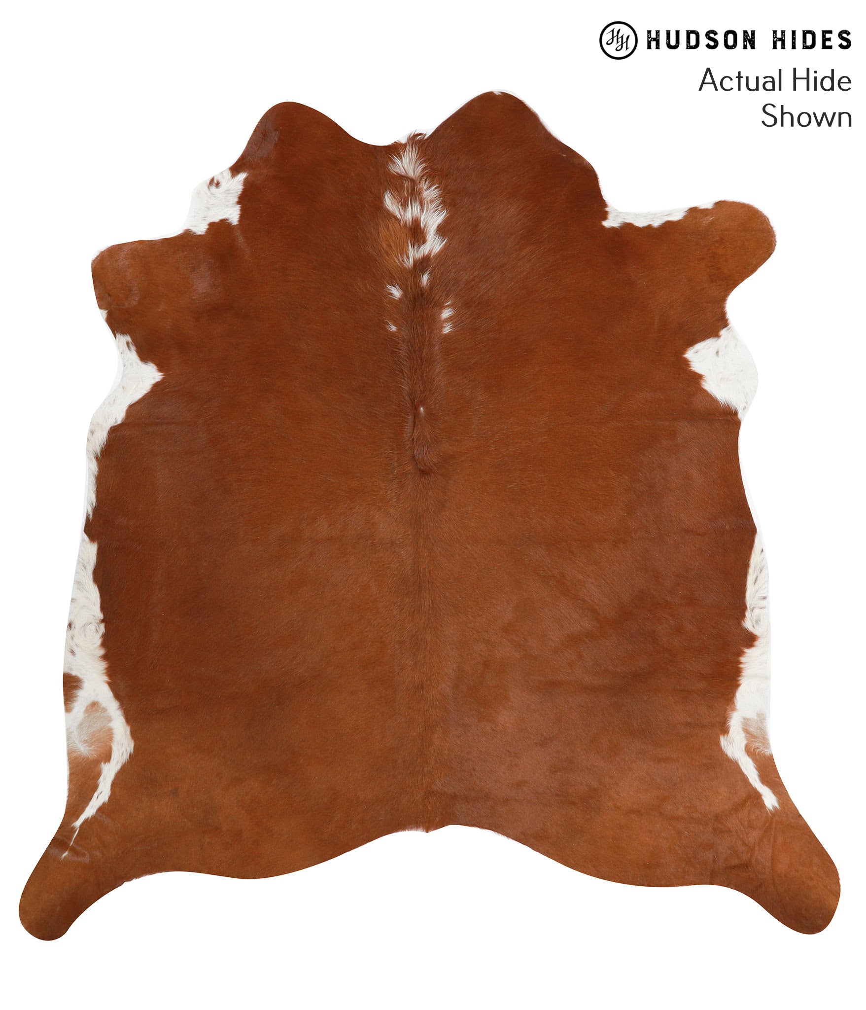 Brown and White Regular Cowhide Rug #41591