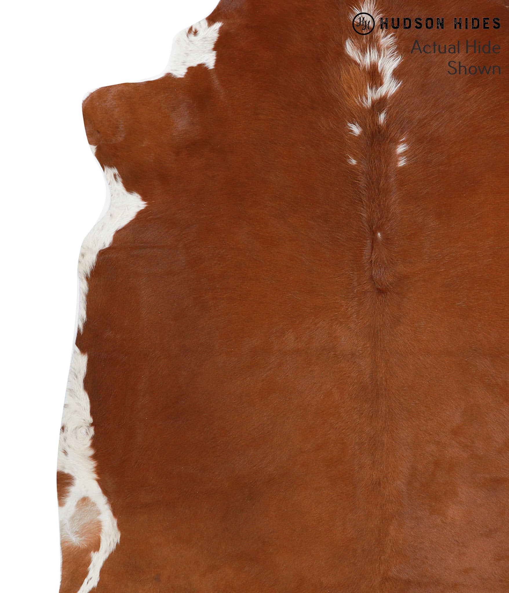 Brown and White Regular Cowhide Rug #41591