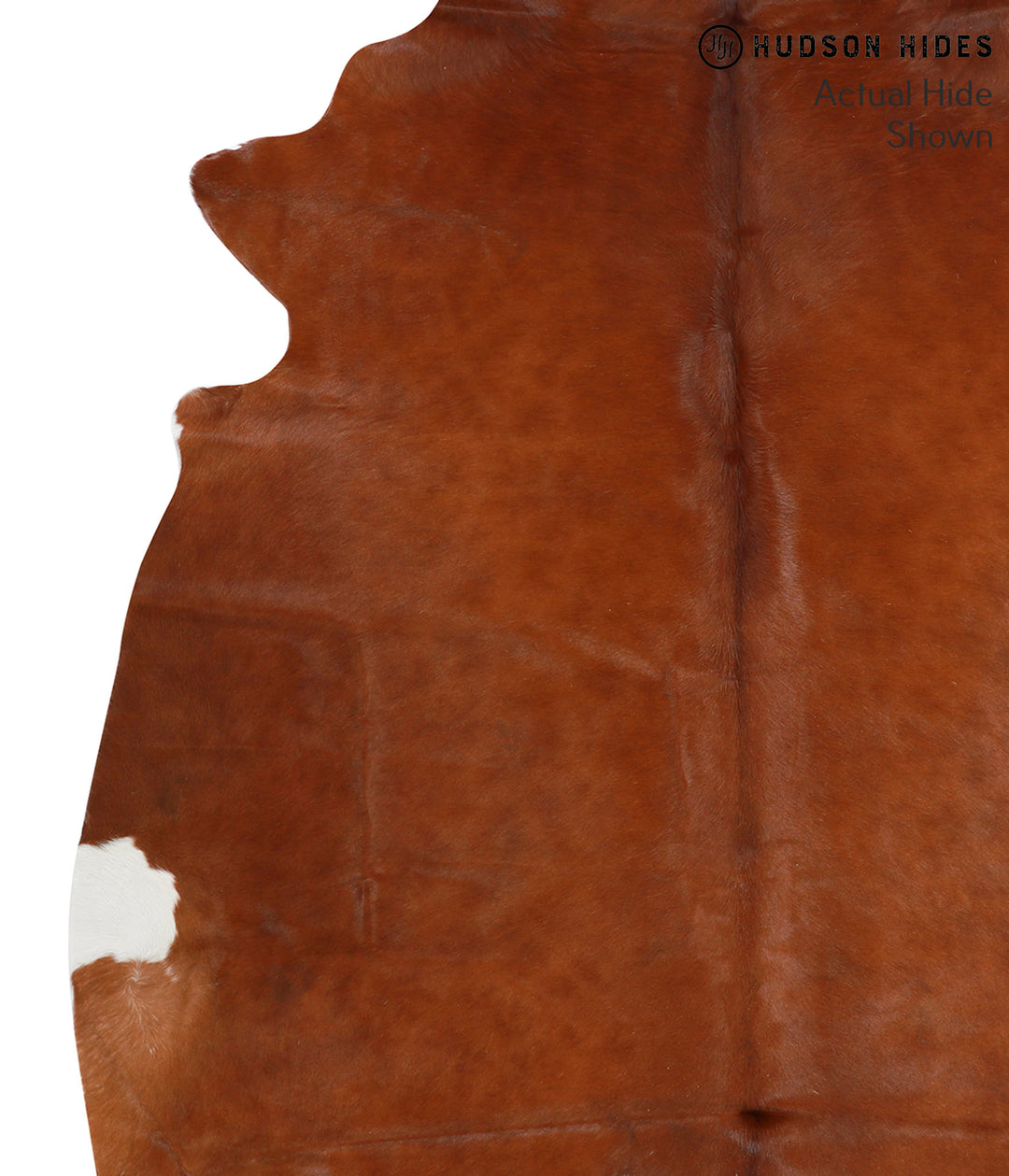 Solid Brown X-Large Brazilian Cowhide Rug 7'4"H x 6'8"W #41626 by Huds