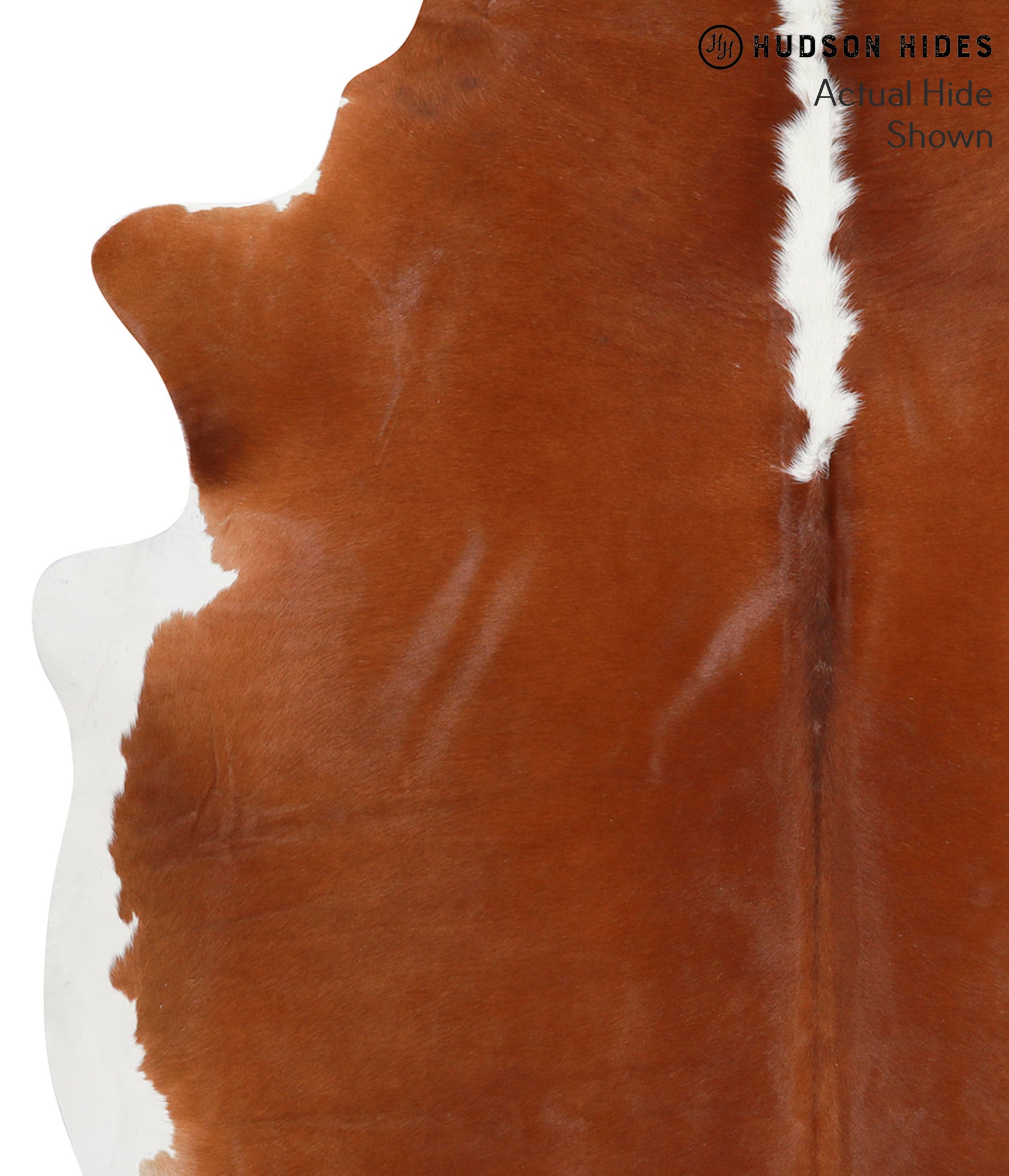 Brown and White Regular Cowhide Rug #41692