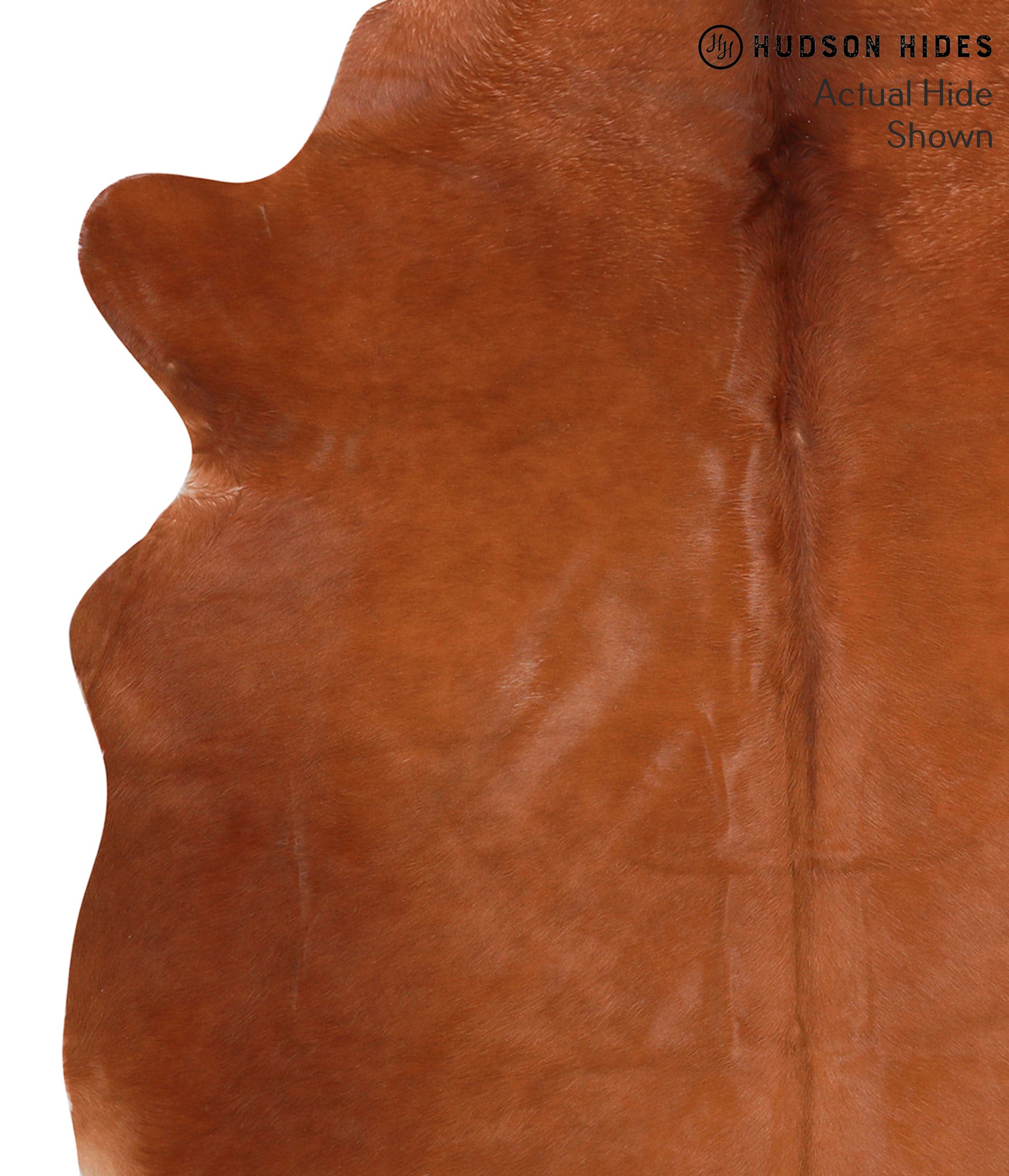 Solid Brown Cowhide Rug #41707