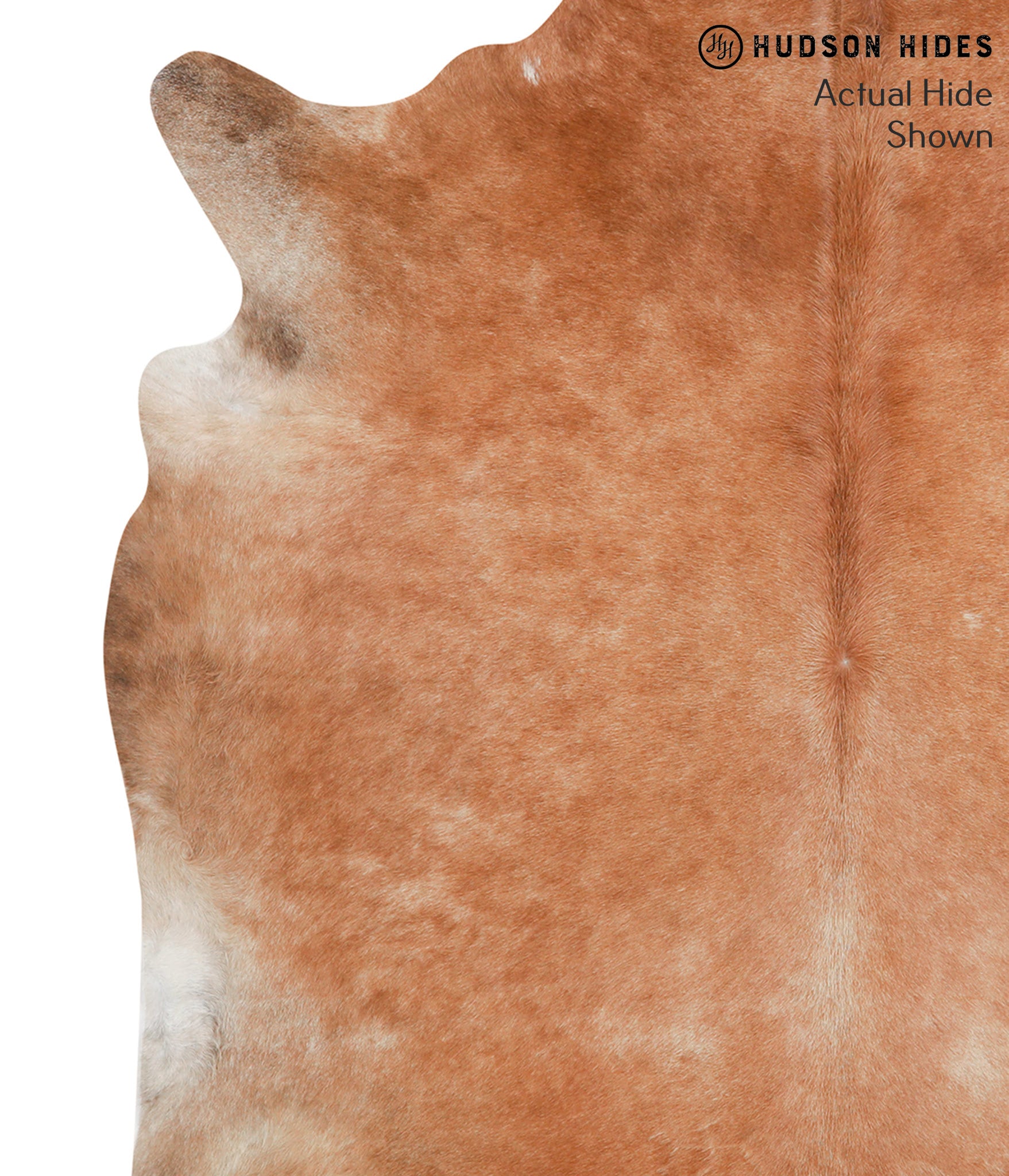 Solid Brown Cowhide Rug #41733