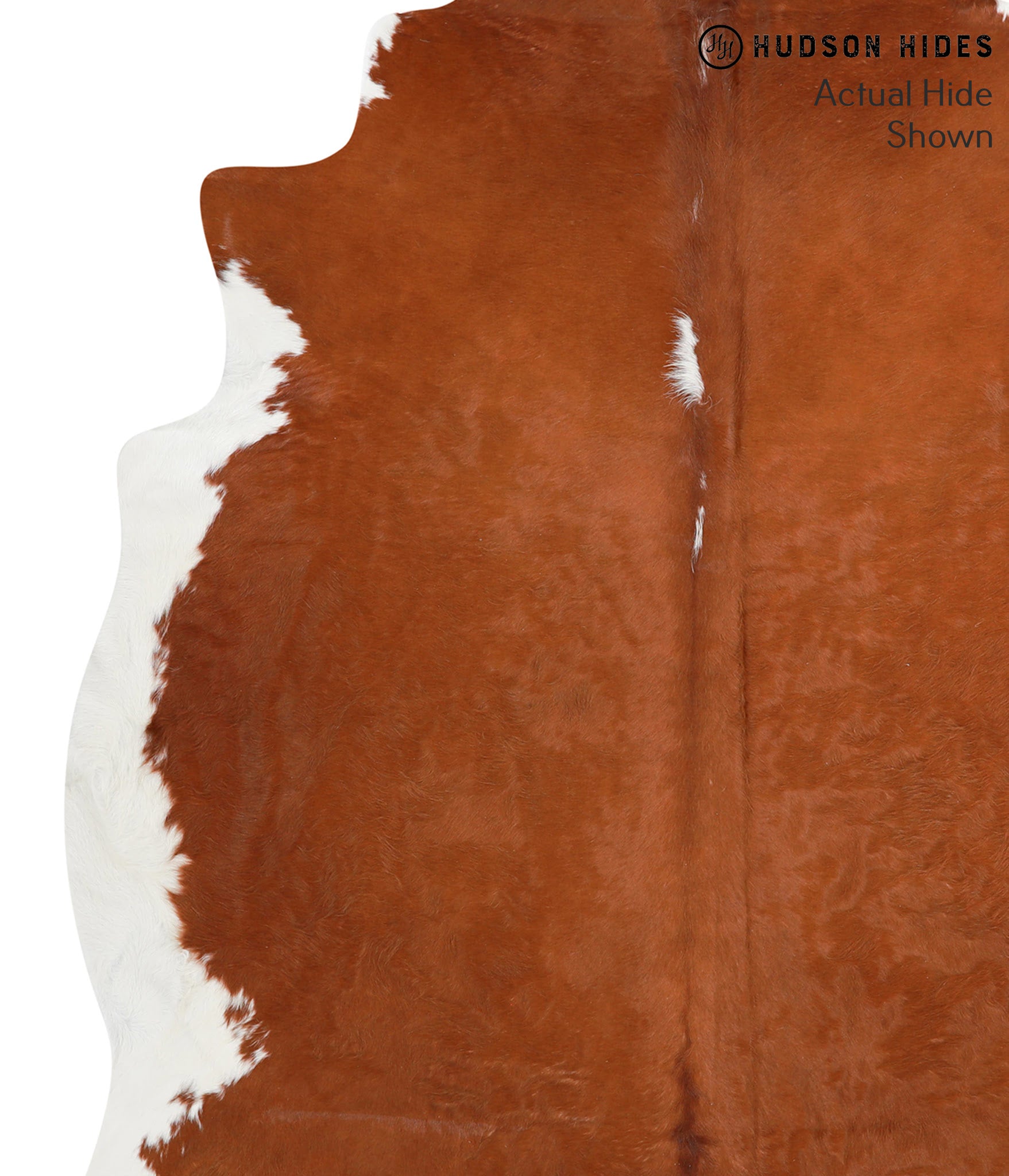 Brown and White Regular Cowhide Rug #41777