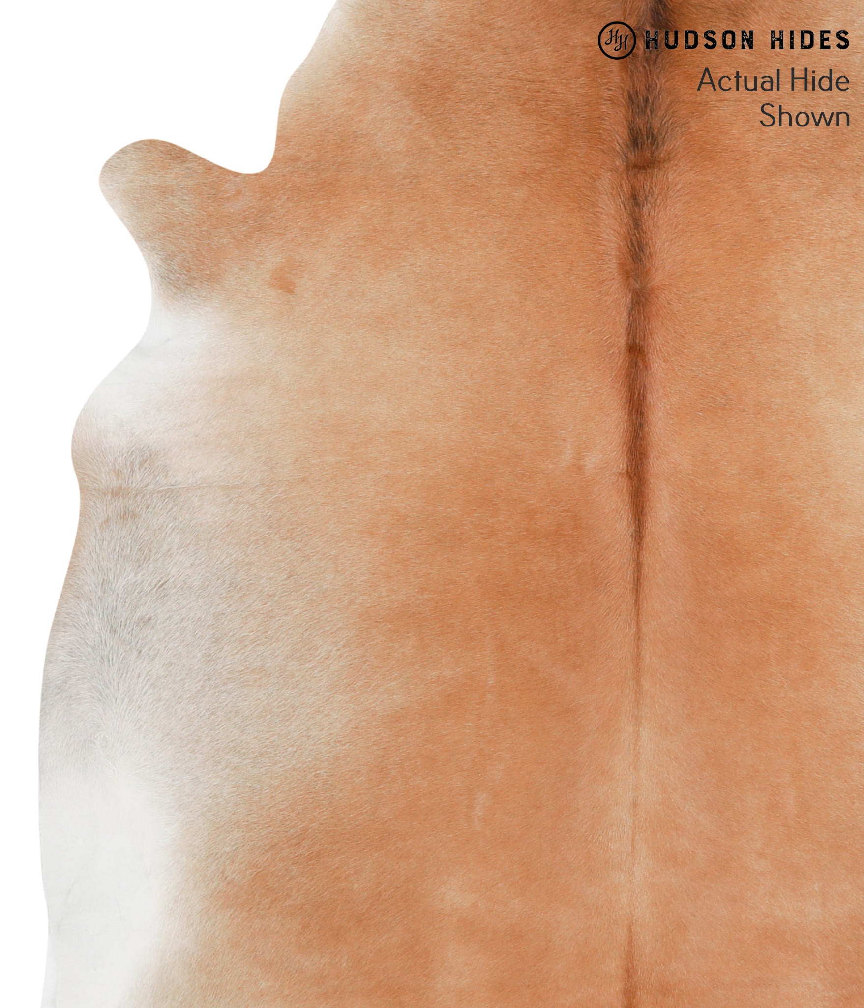 Solid Brown Cowhide Rug #41830
