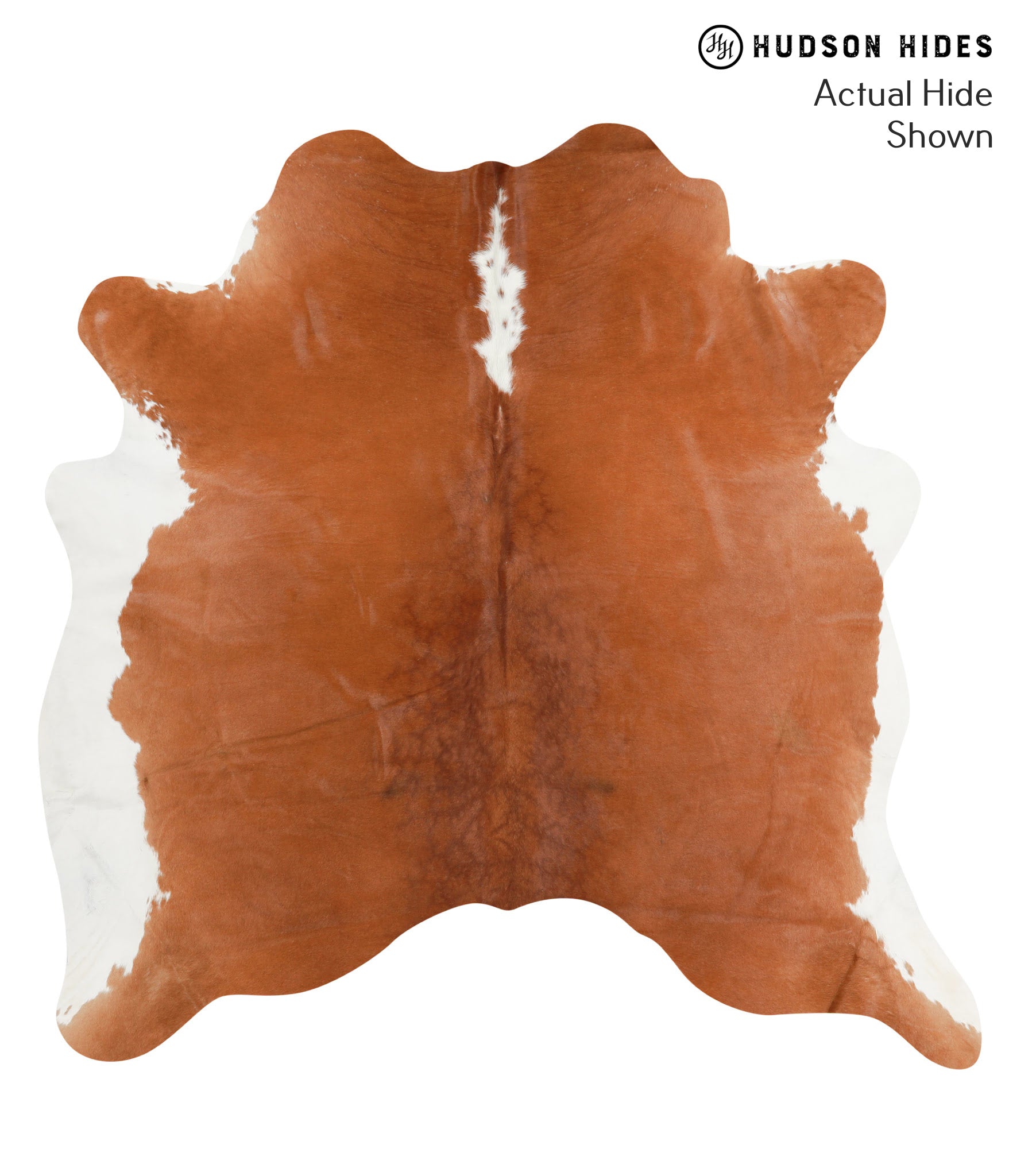 Brown and White Regular Cowhide Rug #41833