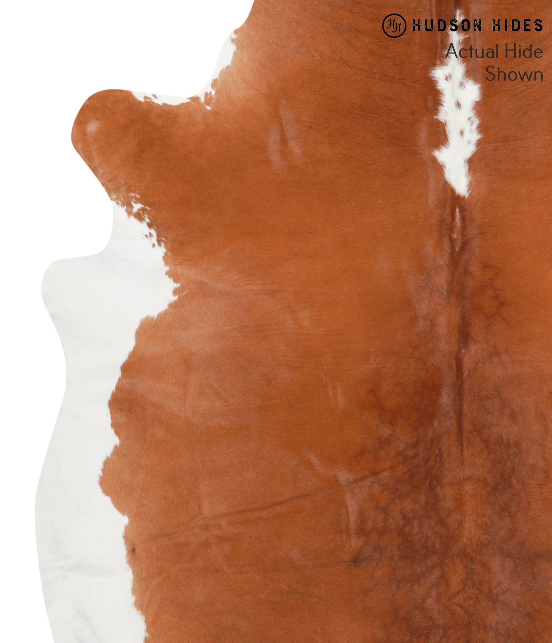 Brown and White Regular Cowhide Rug #41833