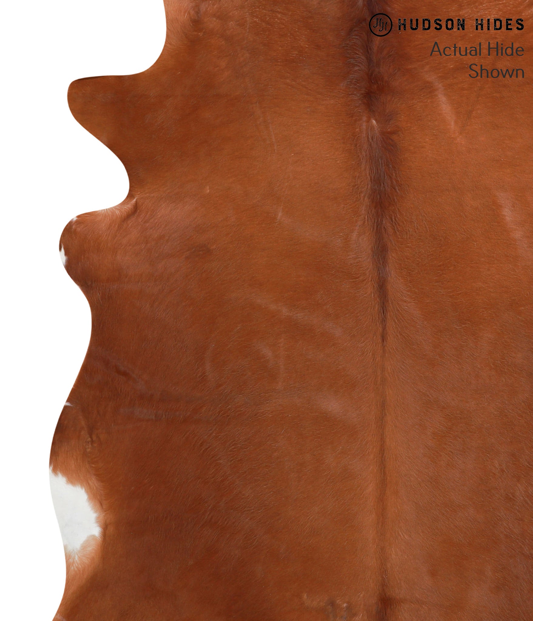 Solid Brown Cowhide Rug #41850