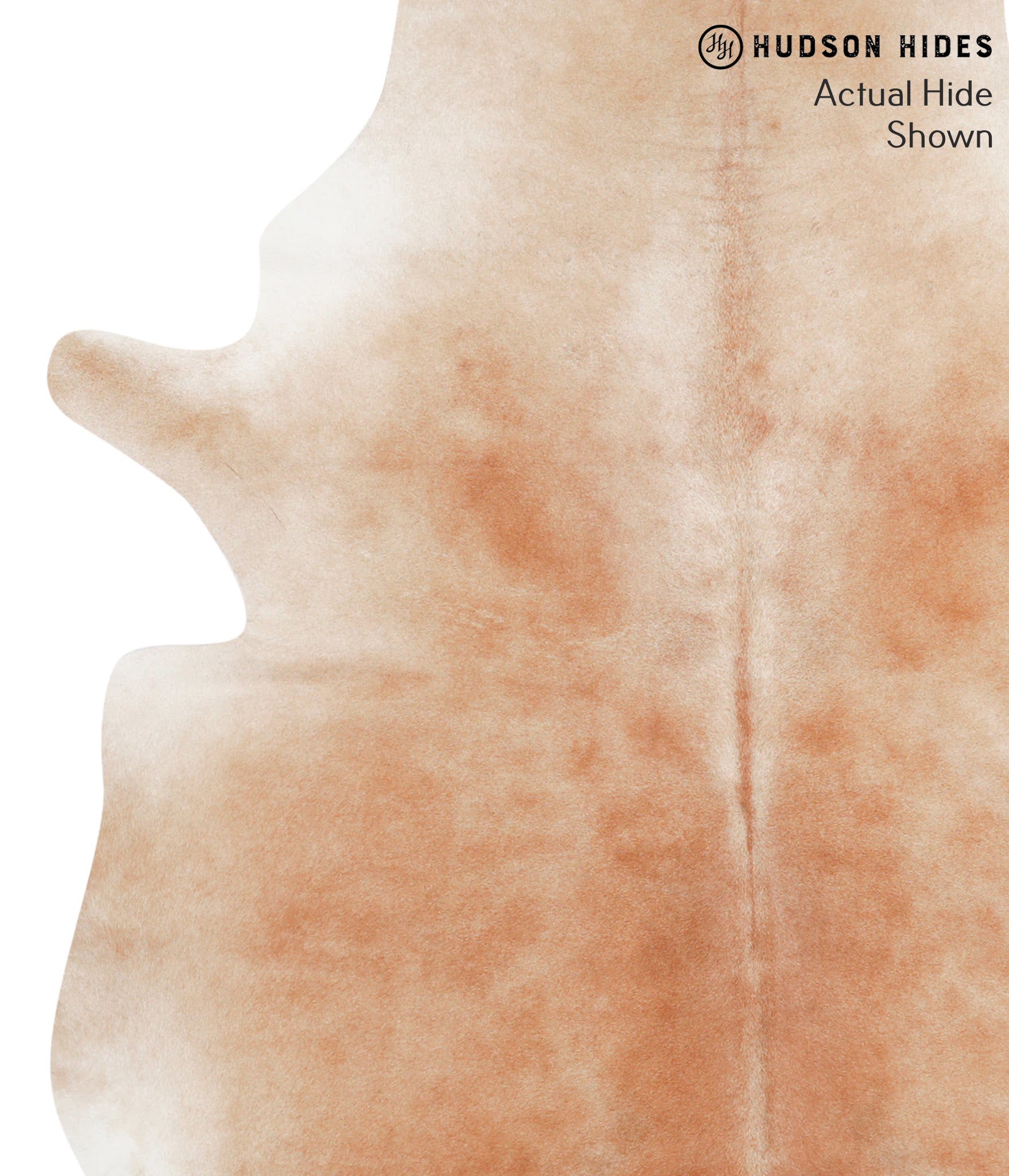 Caramel Cowhide Rug #41865