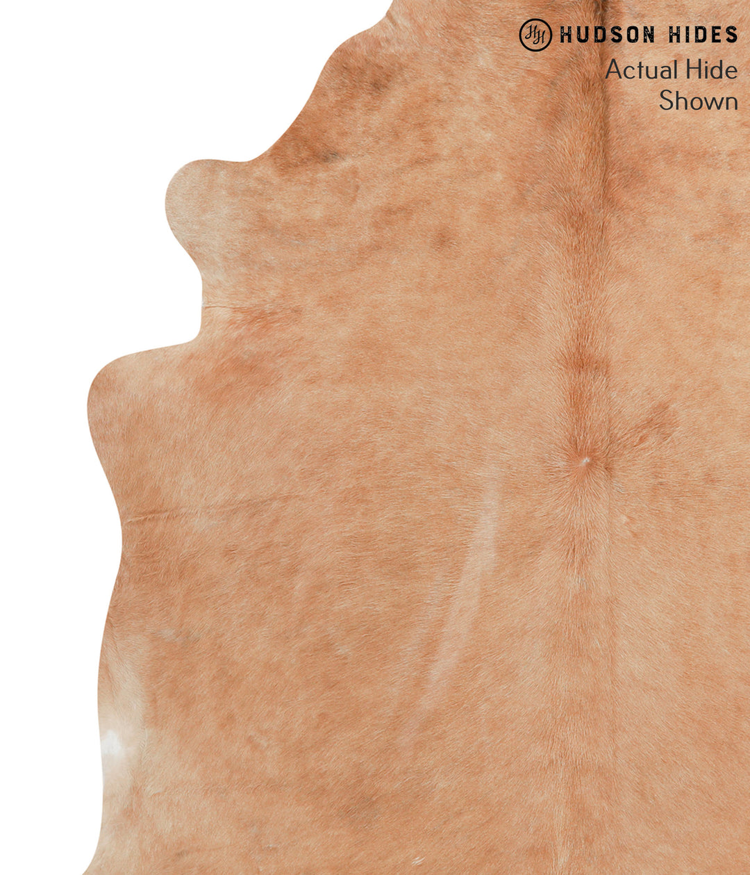 Solid Brown X-Large Brazilian Cowhide Rug 6'9"H x 6'6"W #41881 by Huds