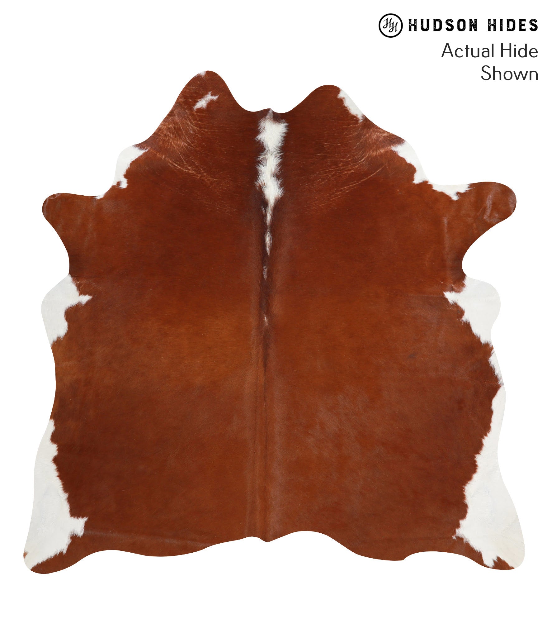 Brown and White Regular Cowhide Rug #41906