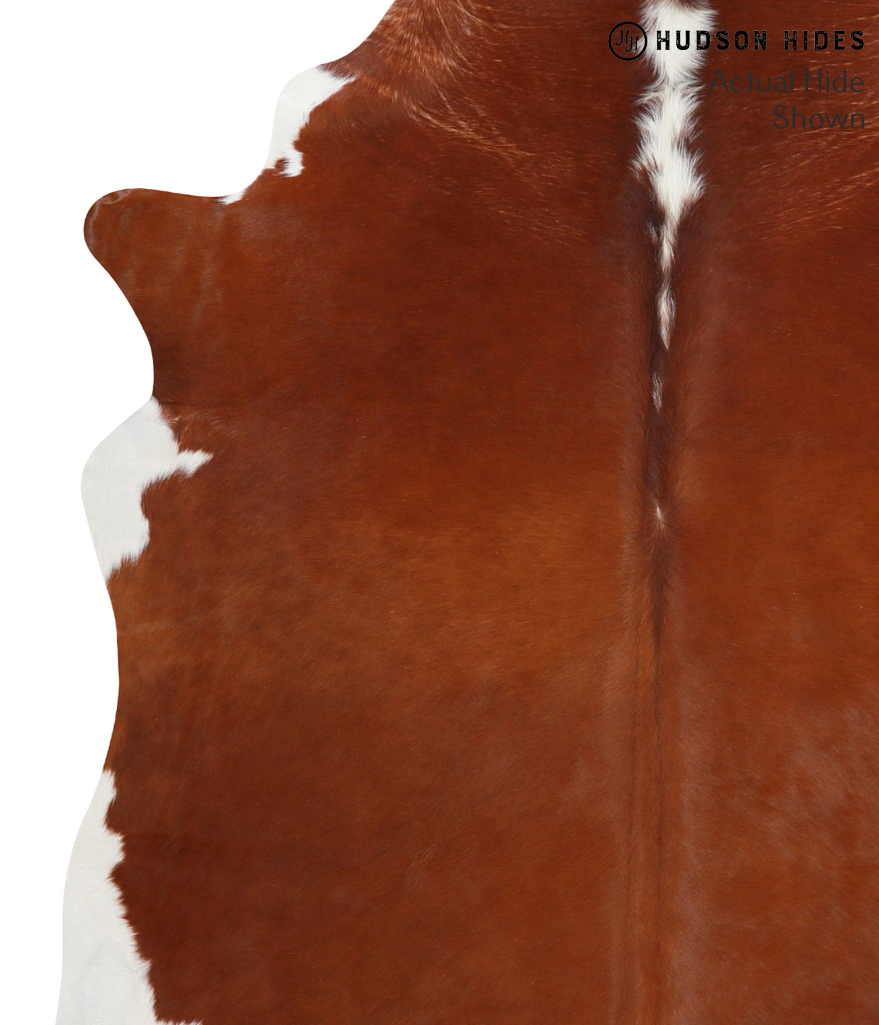 Brown and White Regular Cowhide Rug #41906
