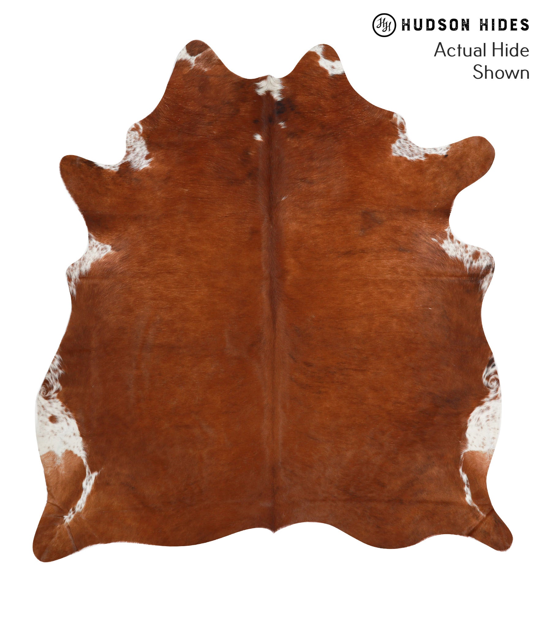 Brown and White Regular Cowhide Rug #41974