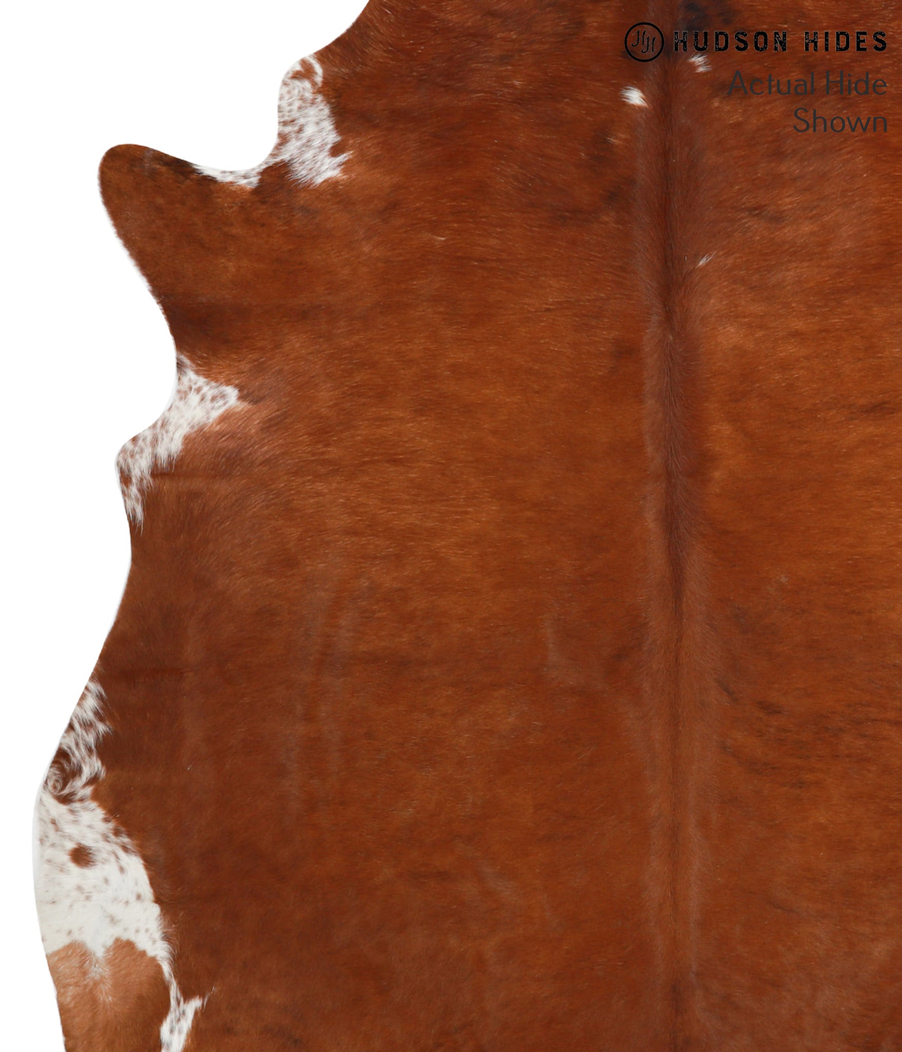 Brown and White Regular Cowhide Rug #41974