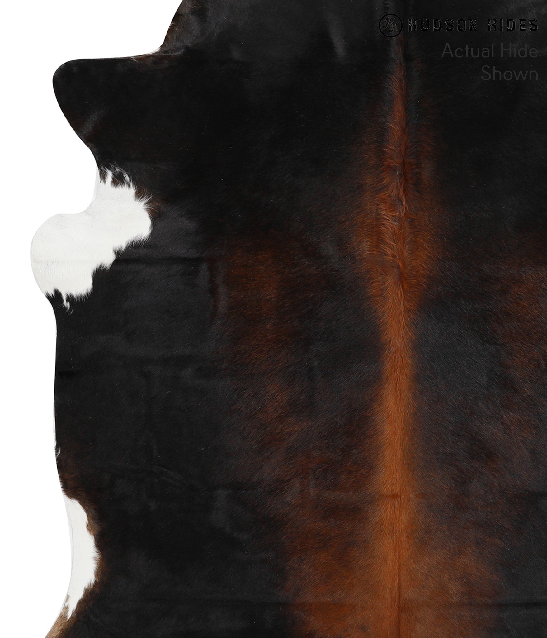 Chocolate and White Cowhide Rug #42033