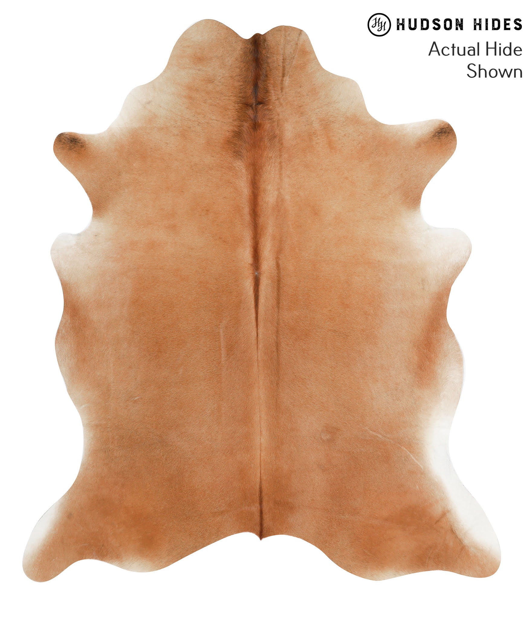 Solid Brown Cowhide Rug #42100