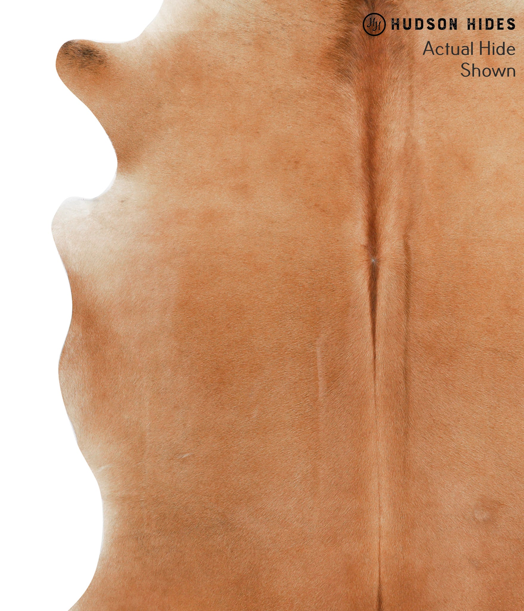 Solid Brown Cowhide Rug #42100