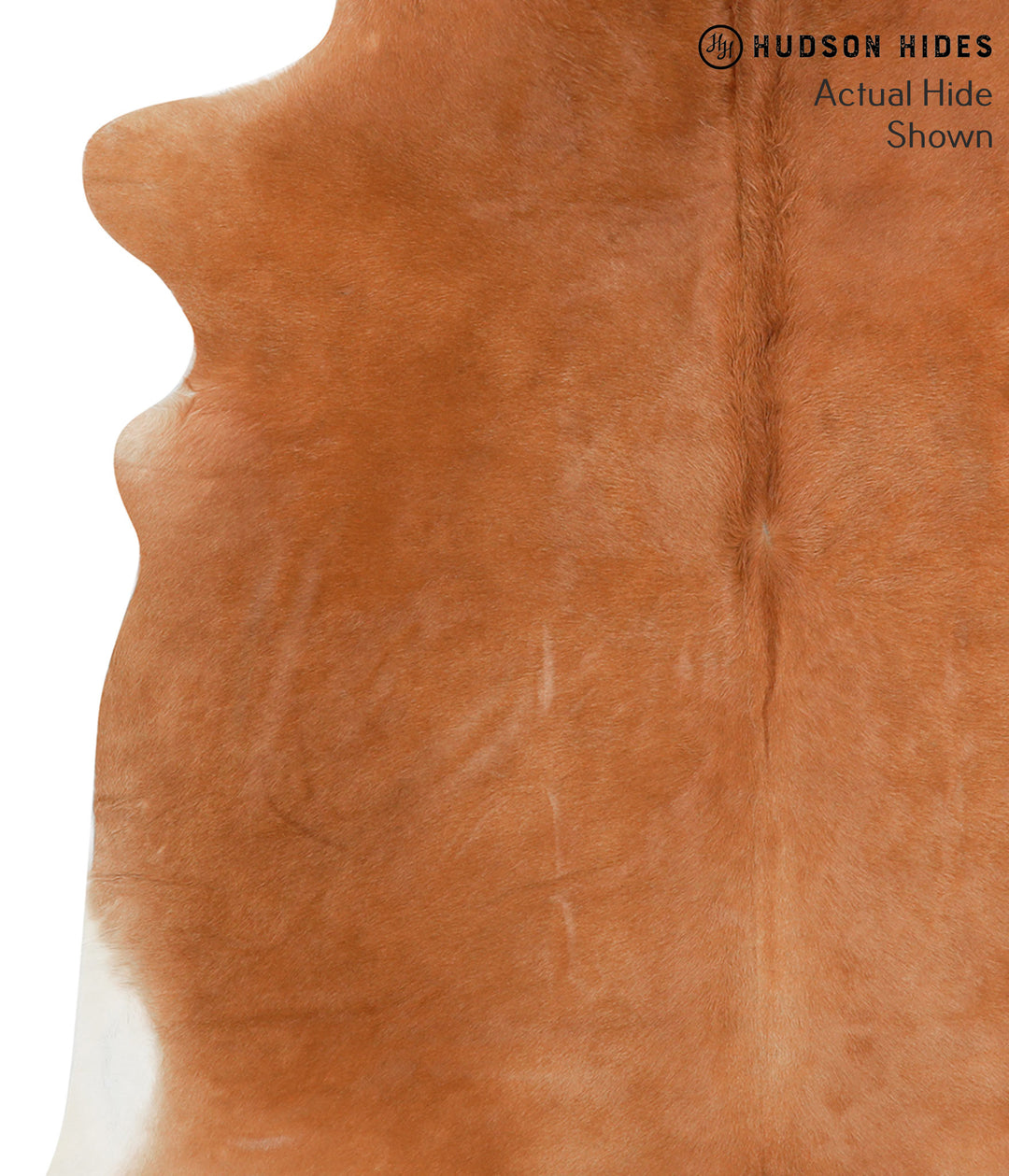 Solid Brown X-Large Brazilian Cowhide Rug 6'7"H x 6'6"W #42127 by Huds