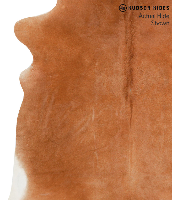 Solid Brown X-Large Brazilian Cowhide Rug 6'7"H x 6'6"W #42127 by Hudson Hides