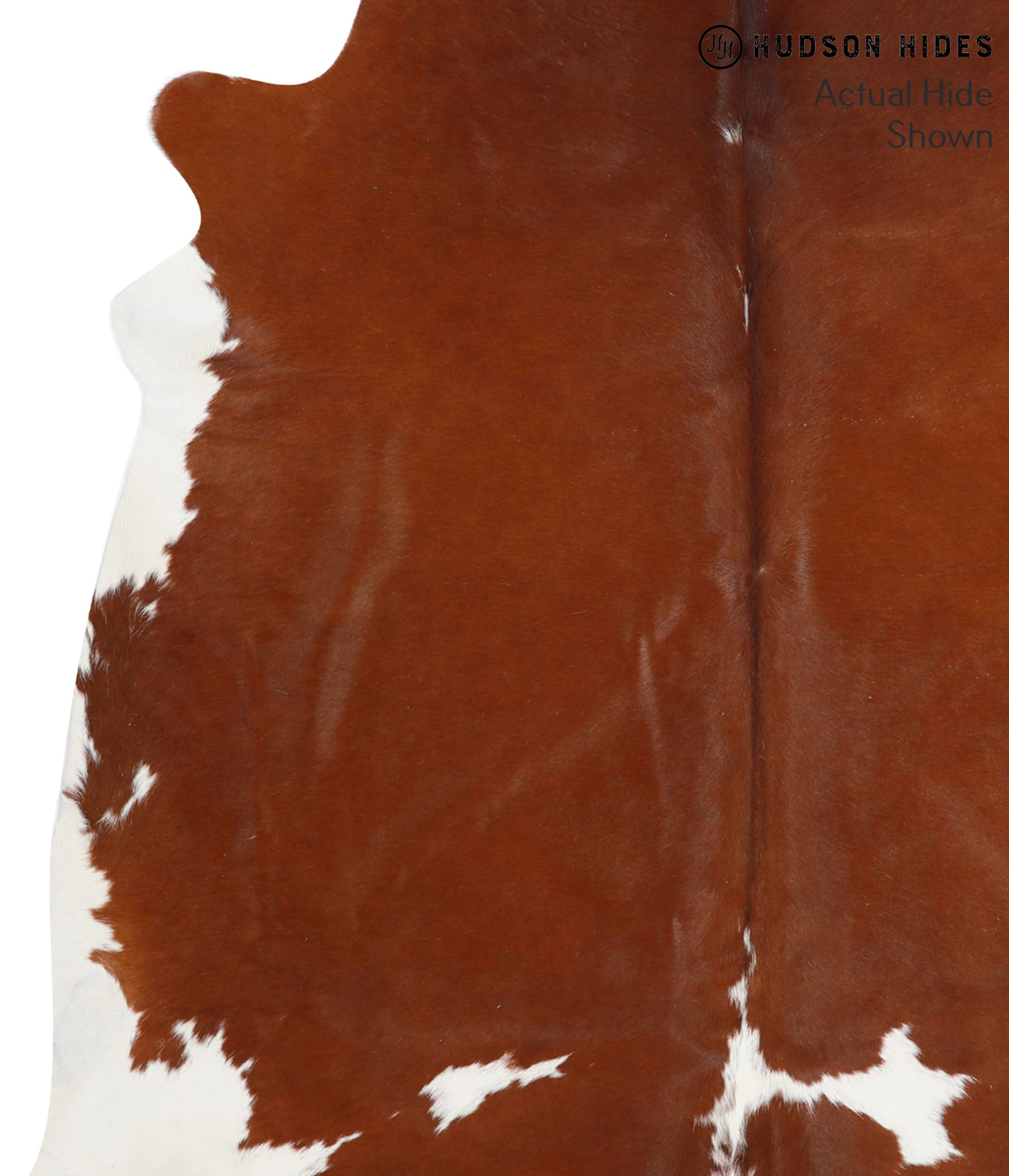 Brown and White Cowhide Rug #42267