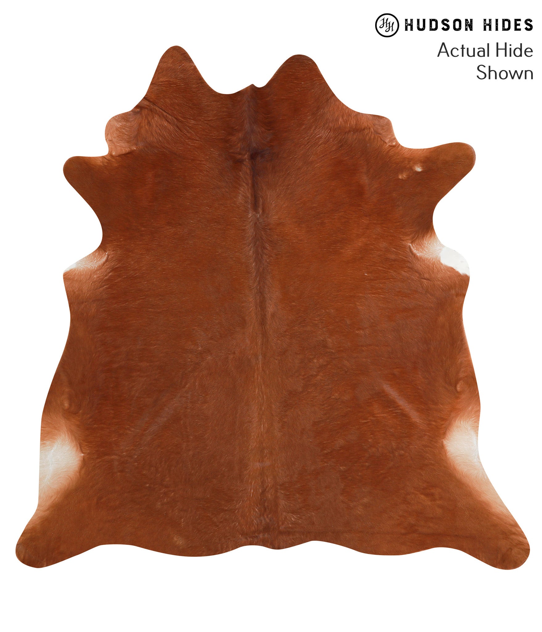 Solid Brown Cowhide Rug #42342