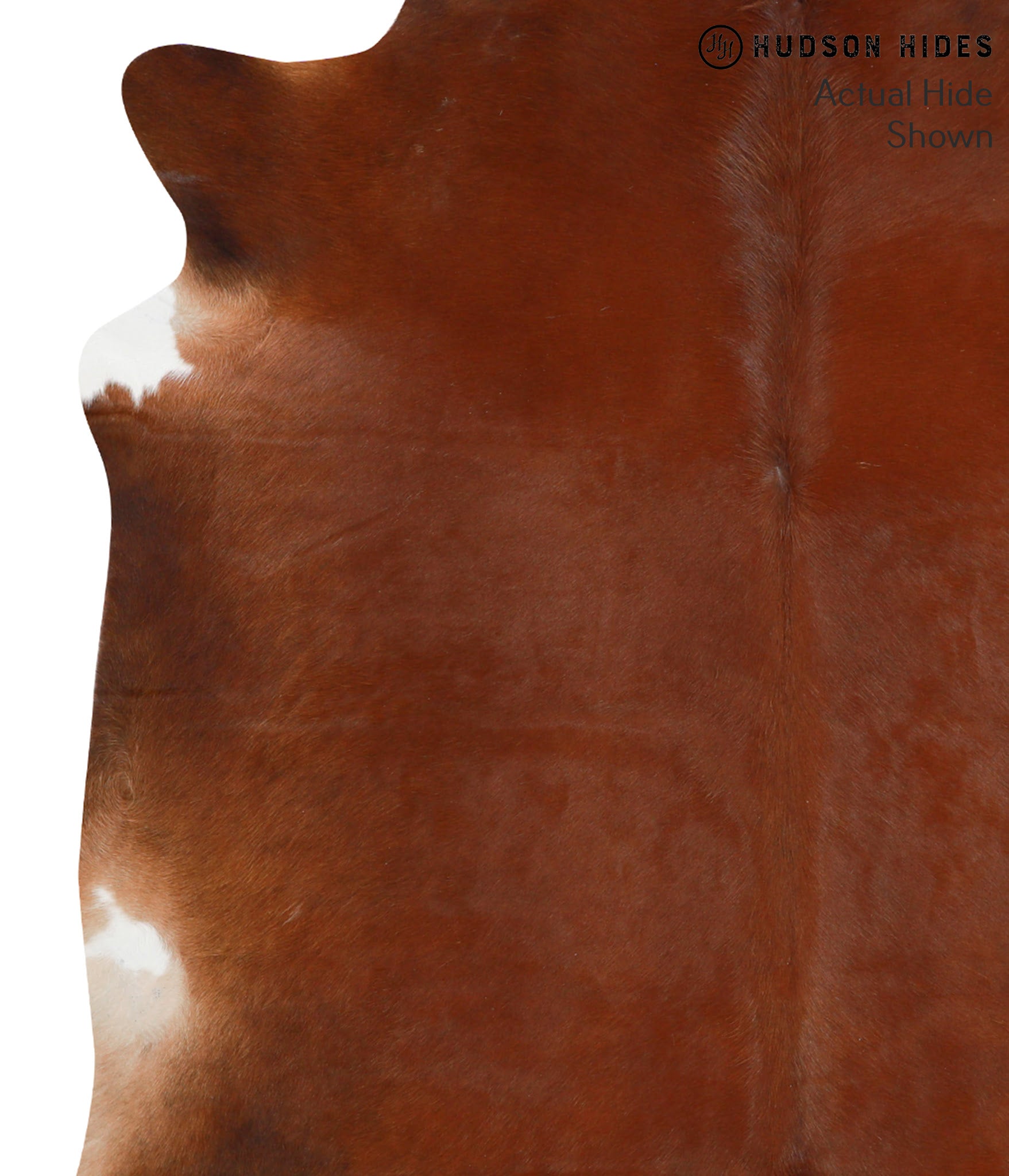 Solid Brown Cowhide Rug #42360