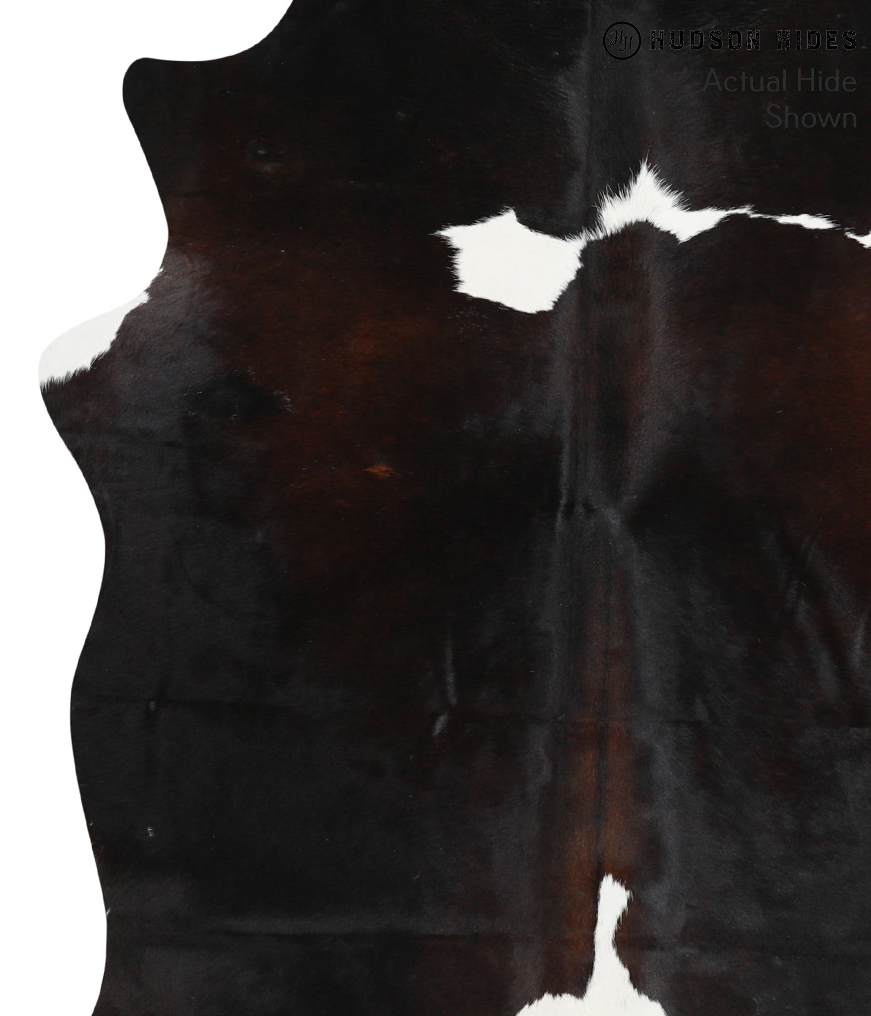 Chocolate and White Cowhide Rug #42448