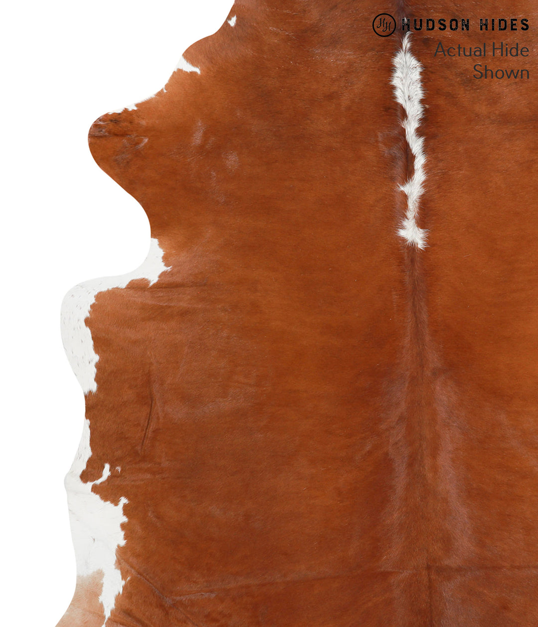 Brown and White Regular X-Large Brazilian Cowhide Rug 6'10"H x 6'3"W #