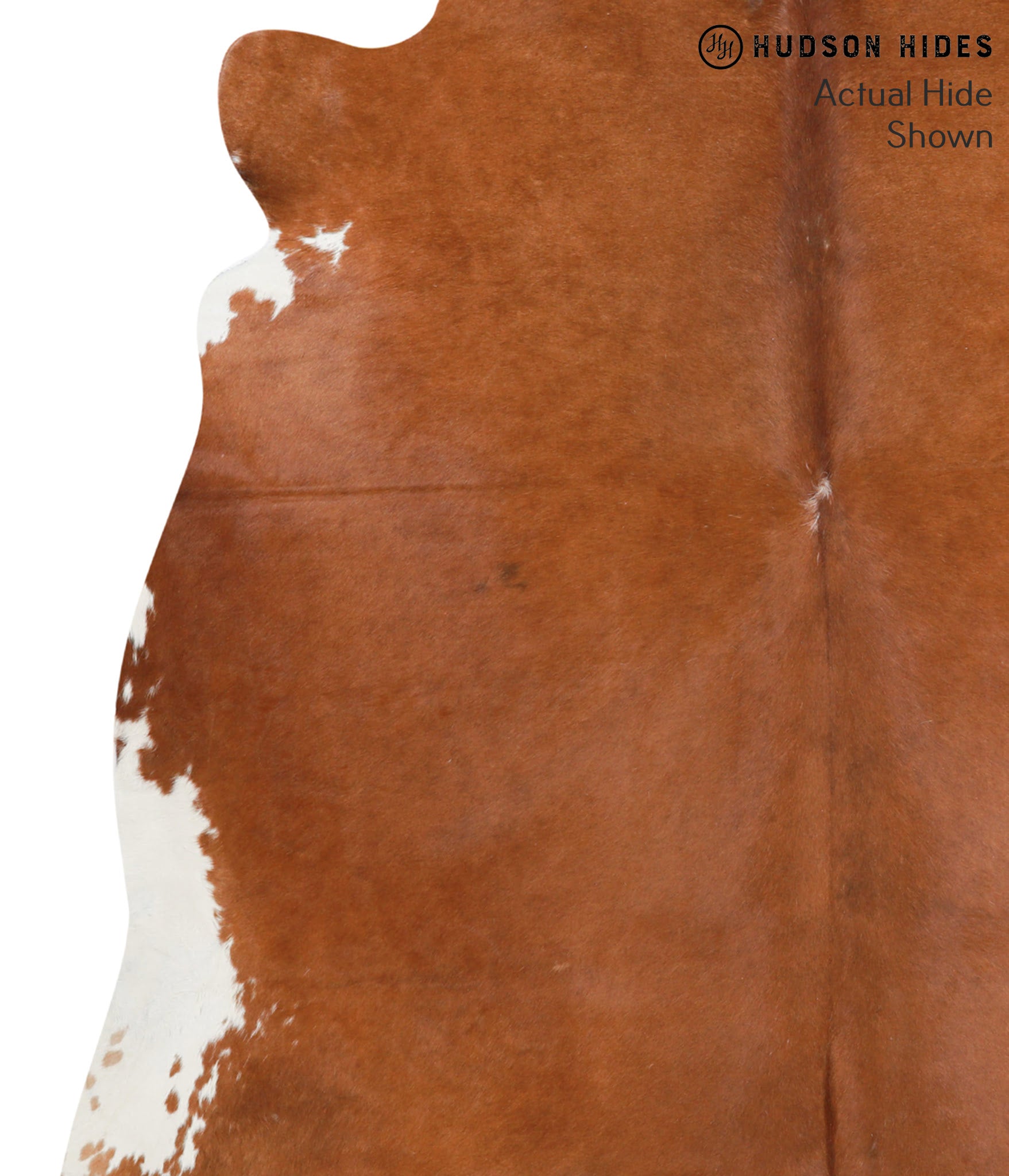 Solid Brown Cowhide Rug #42603