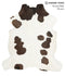 Chocolate and White X-Large European Cowhide Rug 6'10