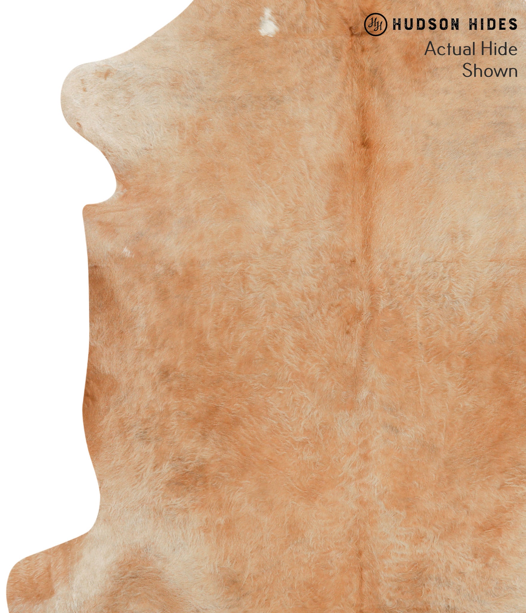 Solid Brown Cowhide Rug #43873