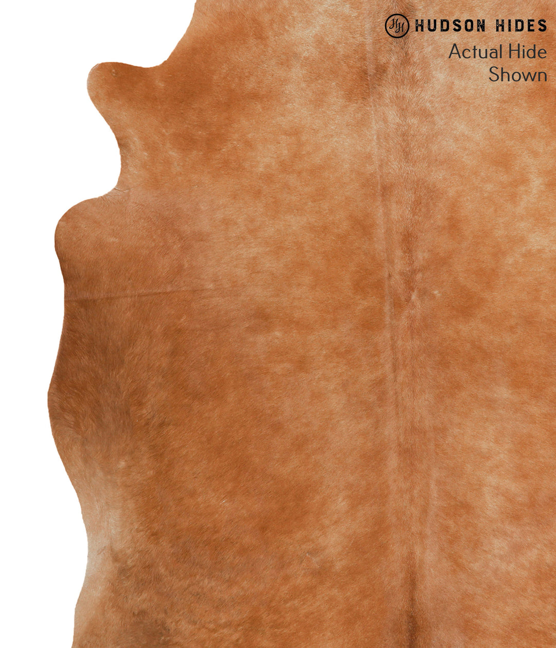 Solid Brown X-Large Brazilian Cowhide Rug 7'0"H x 6'0"W #48341 by Huds