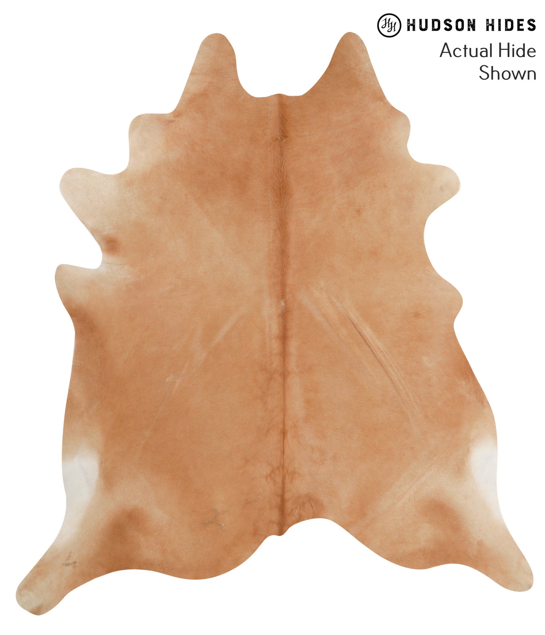 Solid Brown Cowhide Rug #48569