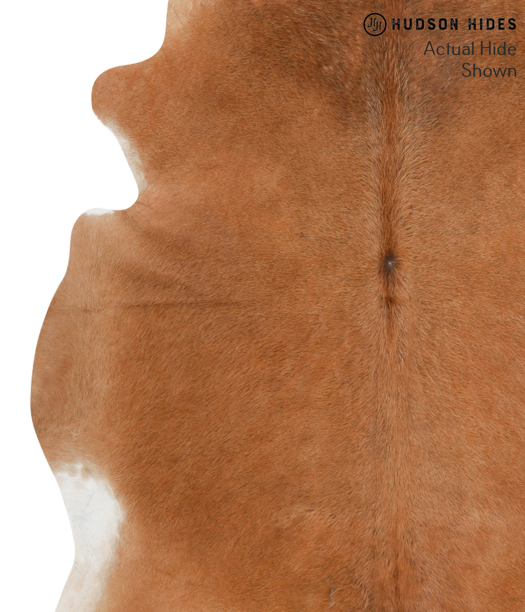Solid Brown X-Large Brazilian Cowhide Rug 7'0"H x 6'8"W #48600 by Huds