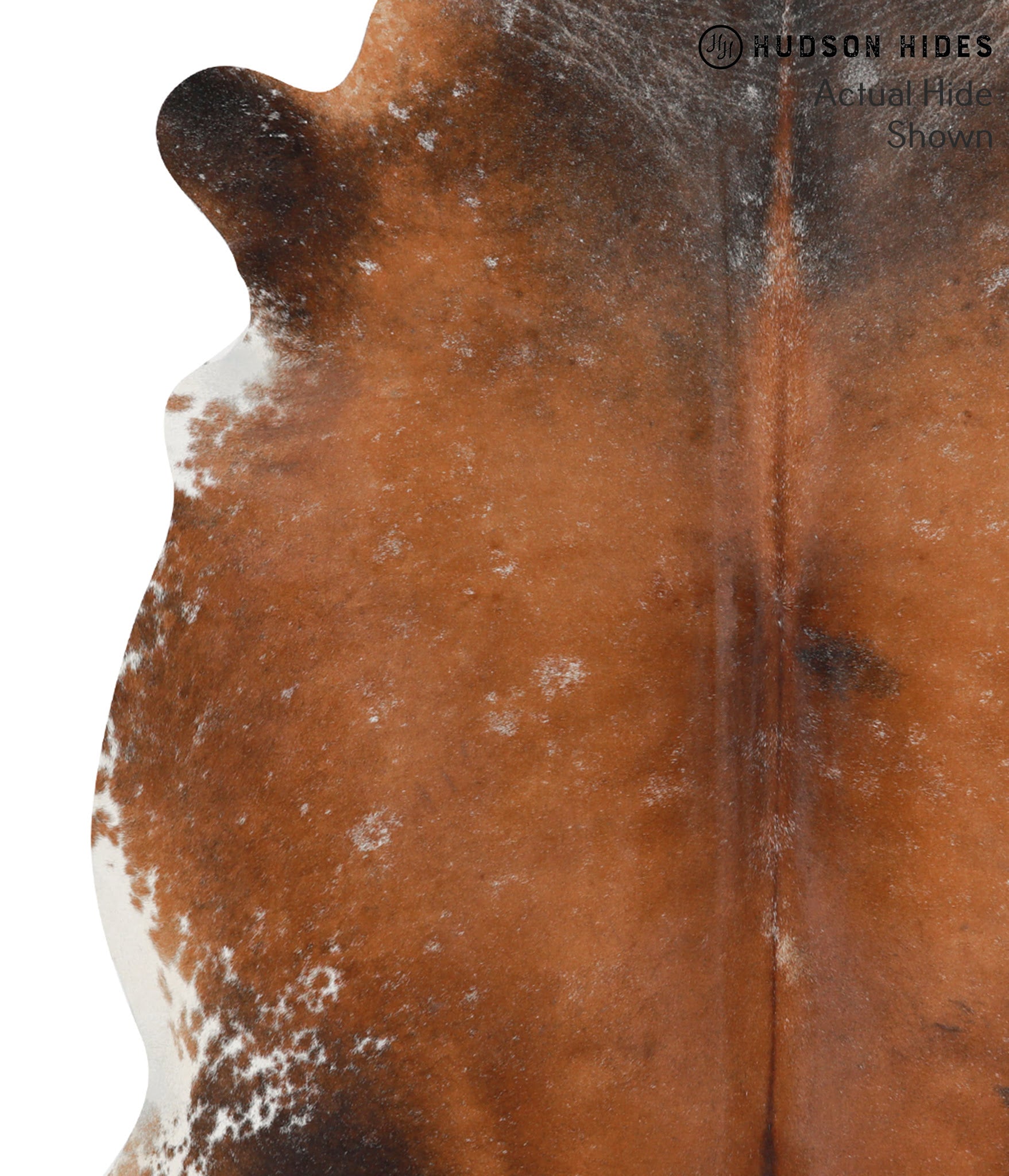 Brown with Red Cowhide Rug #48870