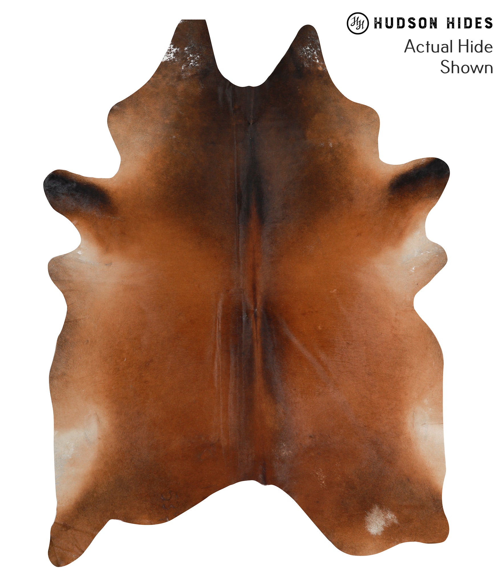 Brown with Red Cowhide Rug #48885